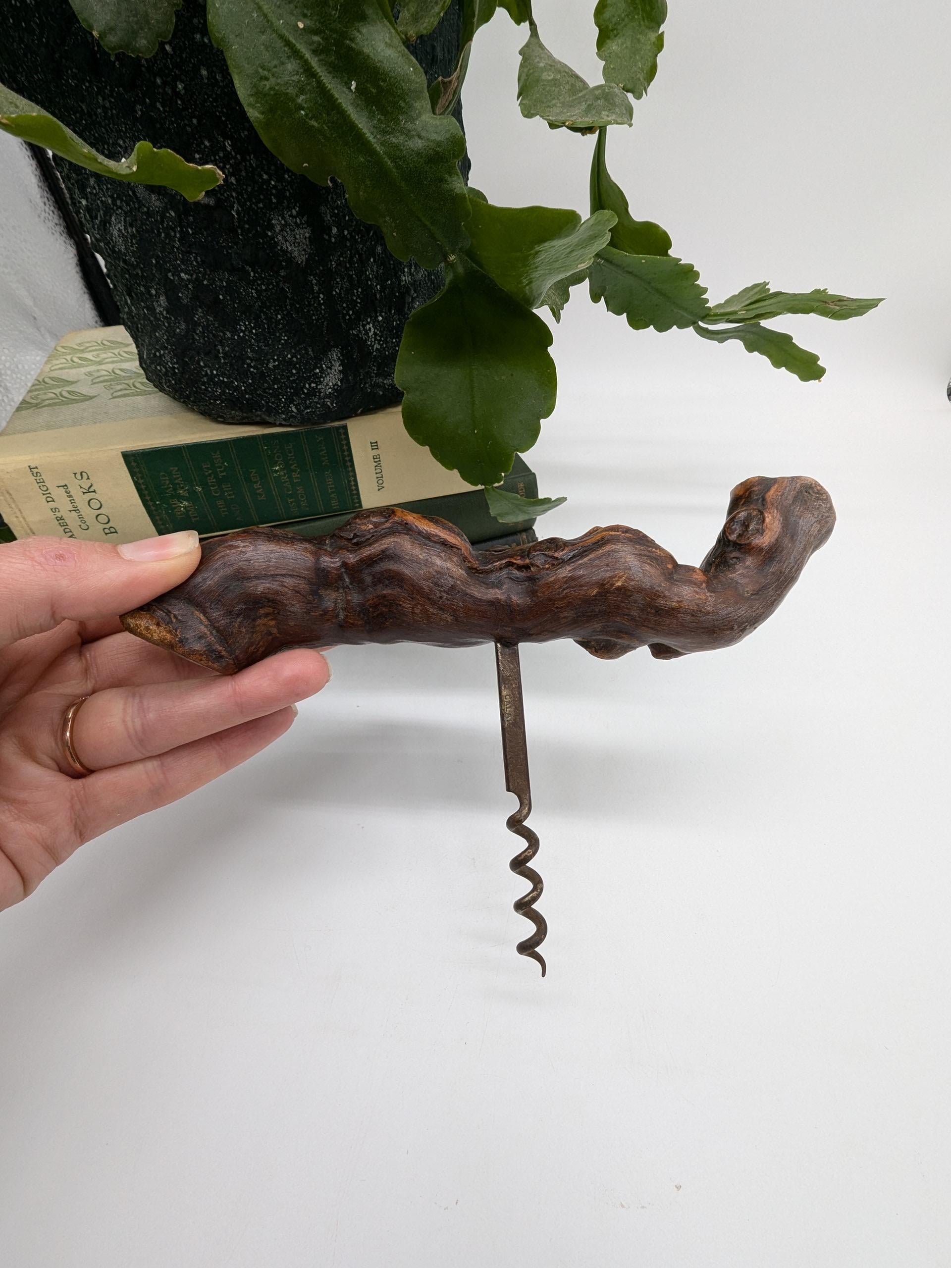 https://i.etsystatic.com/37121269/r/il/5ac9fc/6243175961/il_fullxfull.6243175961_gbun.jpg