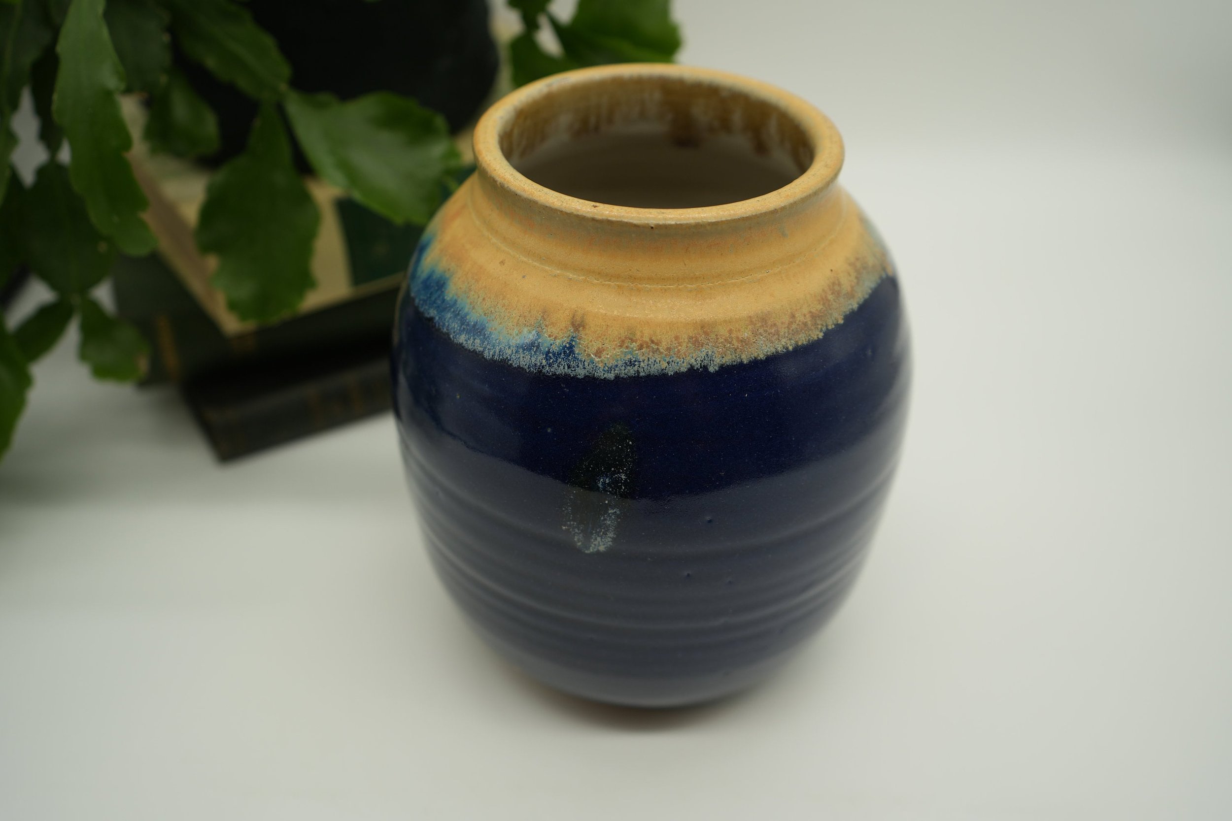 https://i.etsystatic.com/37121269/r/il/7fcbc3/5568541686/il_fullxfull.5568541686_blgx.jpg