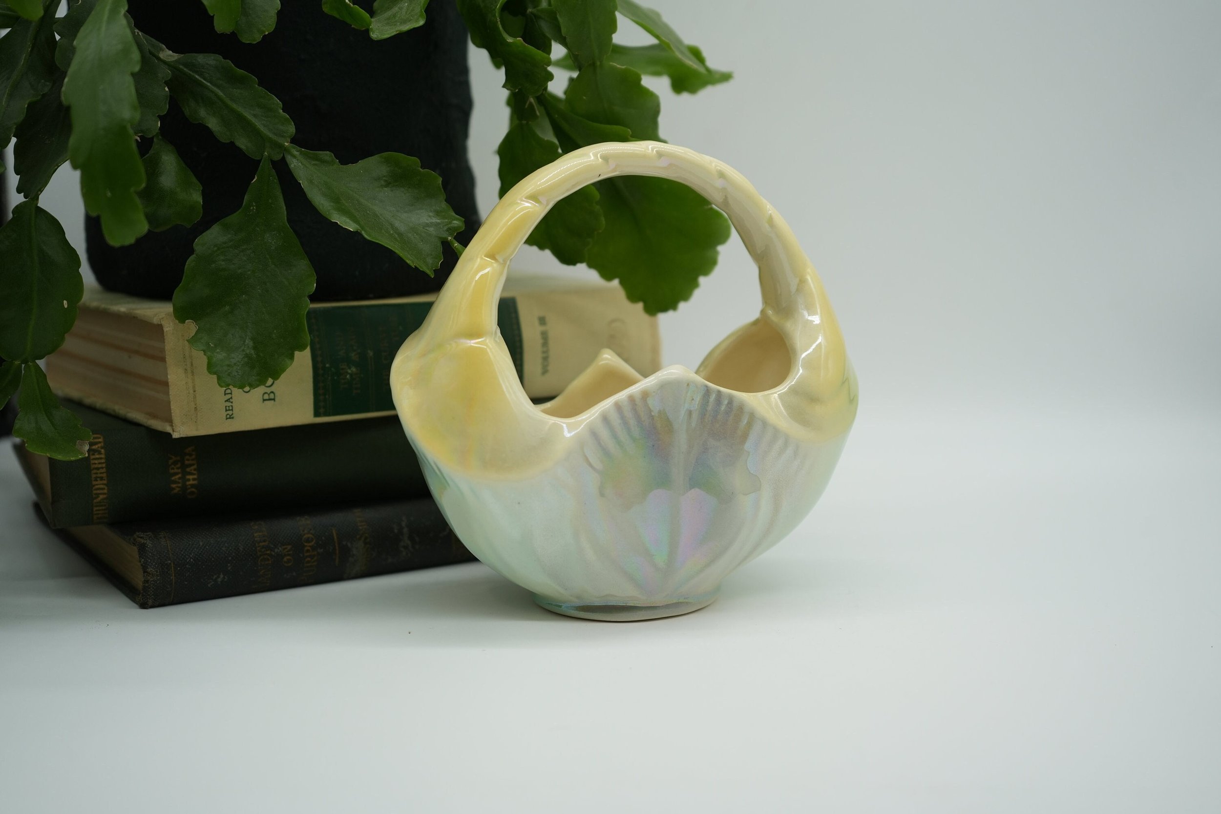 https://i.etsystatic.com/37121269/r/il/40161e/5616712829/il_fullxfull.5616712829_lcuw.jpg