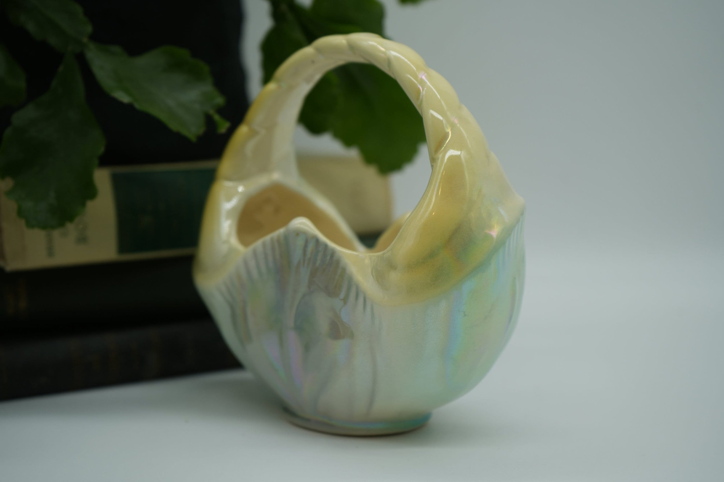 https://i.etsystatic.com/37121269/r/il/83d365/5616708207/il_fullxfull.5616708207_brzp.jpg