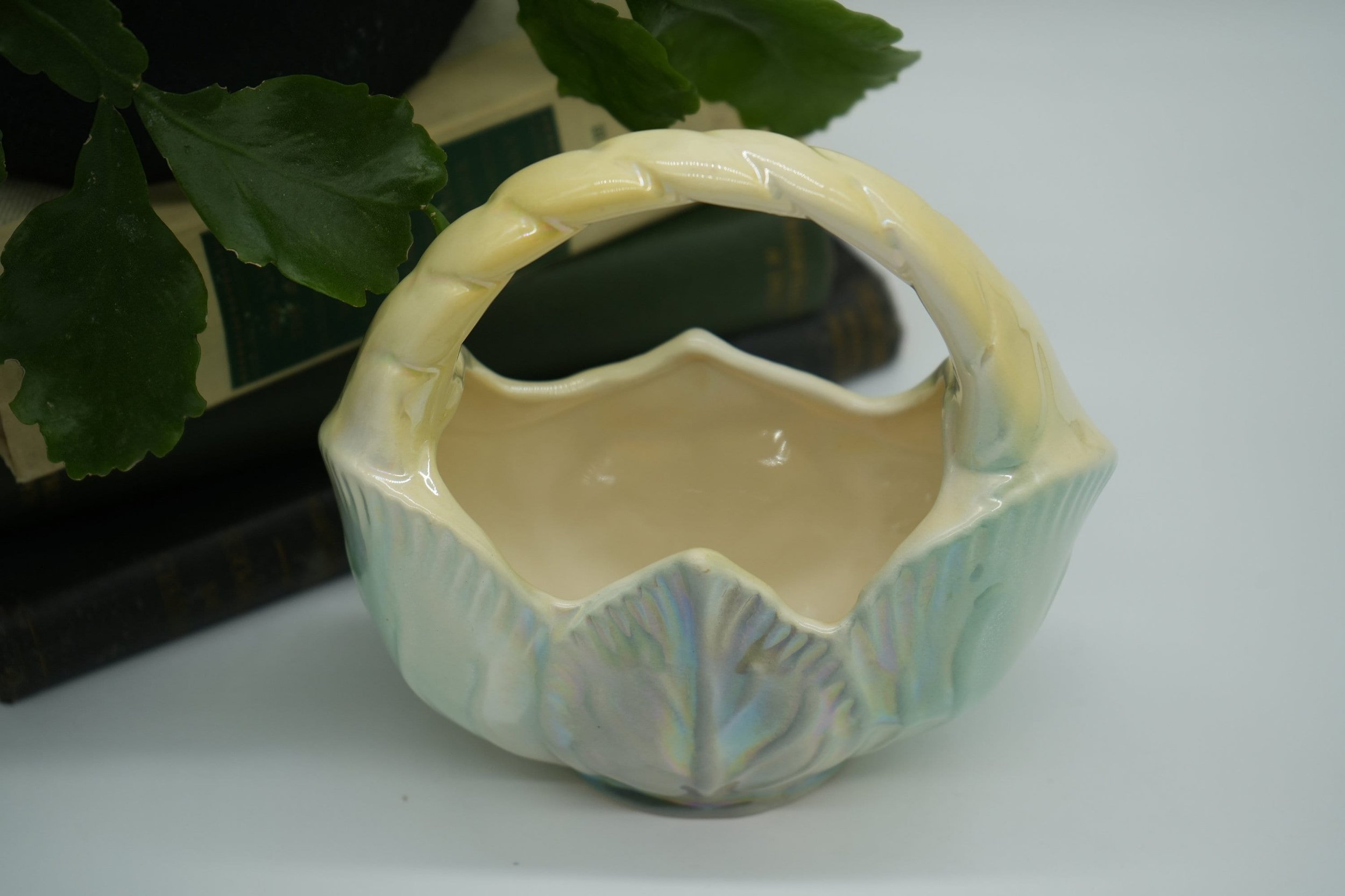 https://i.etsystatic.com/37121269/r/il/cec1d7/5616708273/il_fullxfull.5616708273_8850.jpg