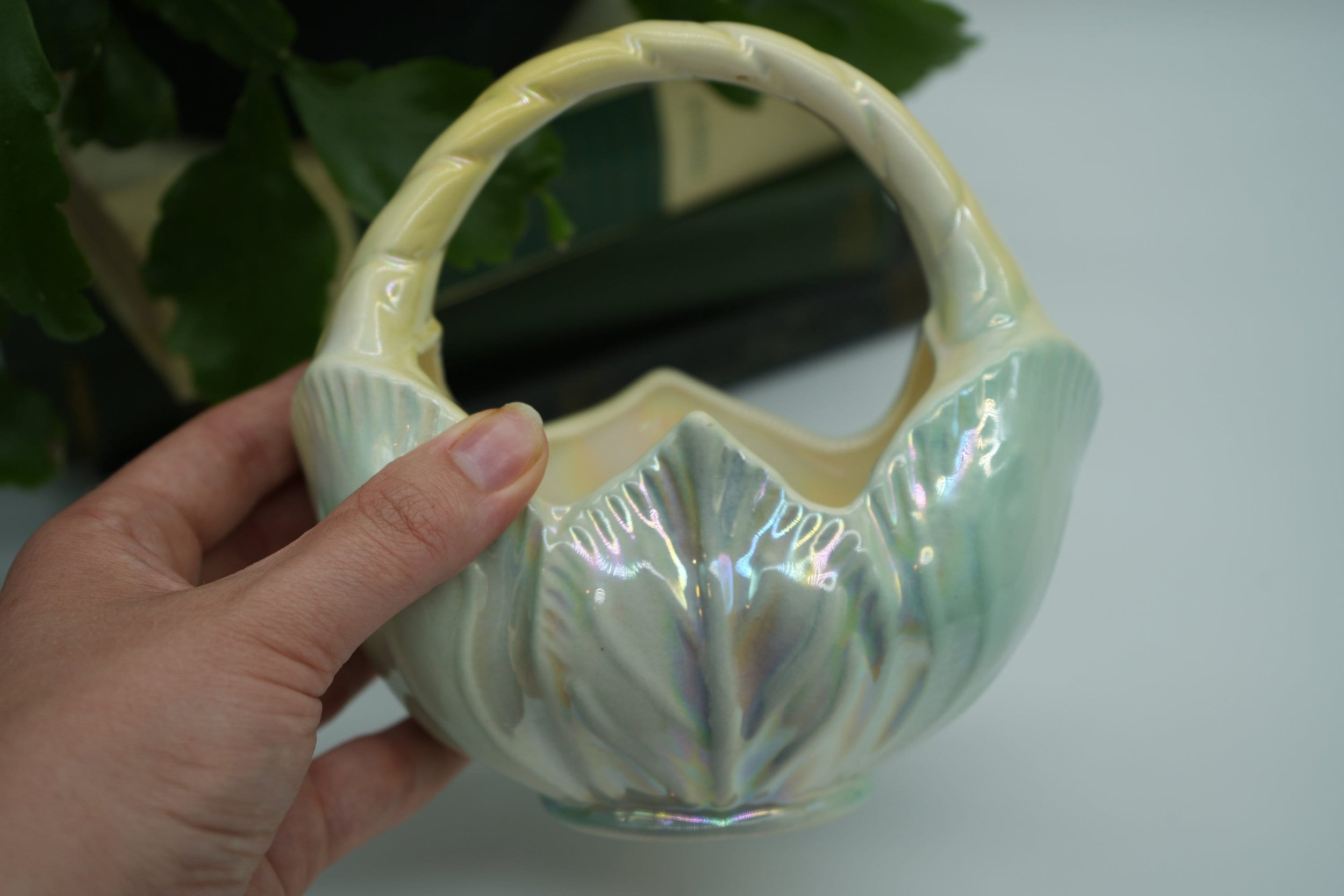 https://i.etsystatic.com/37121269/r/il/1109a8/5616709229/il_fullxfull.5616709229_p76g.jpg