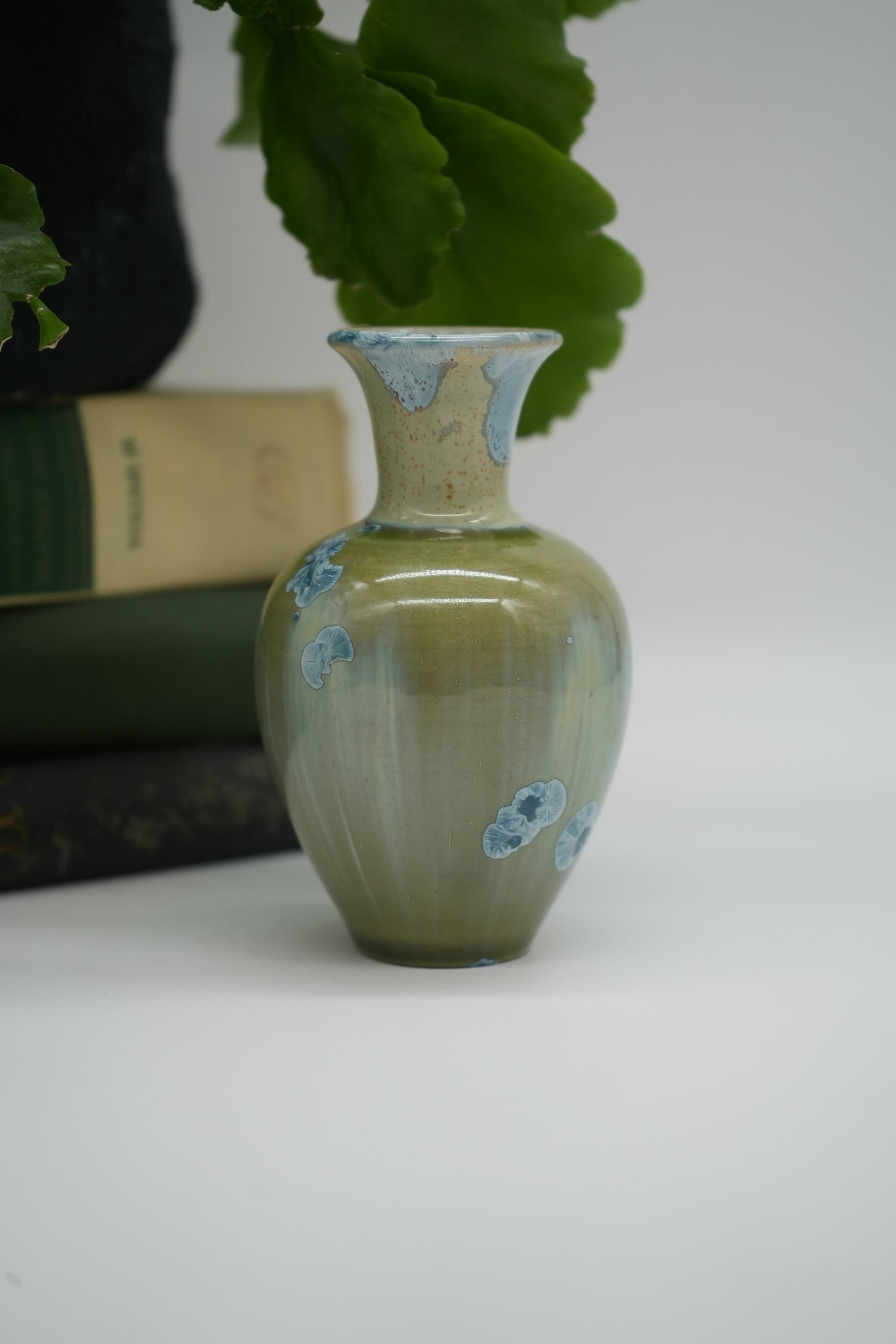 https://i.etsystatic.com/37121269/r/il/f66f51/5568613736/il_fullxfull.5568613736_awsj.jpg