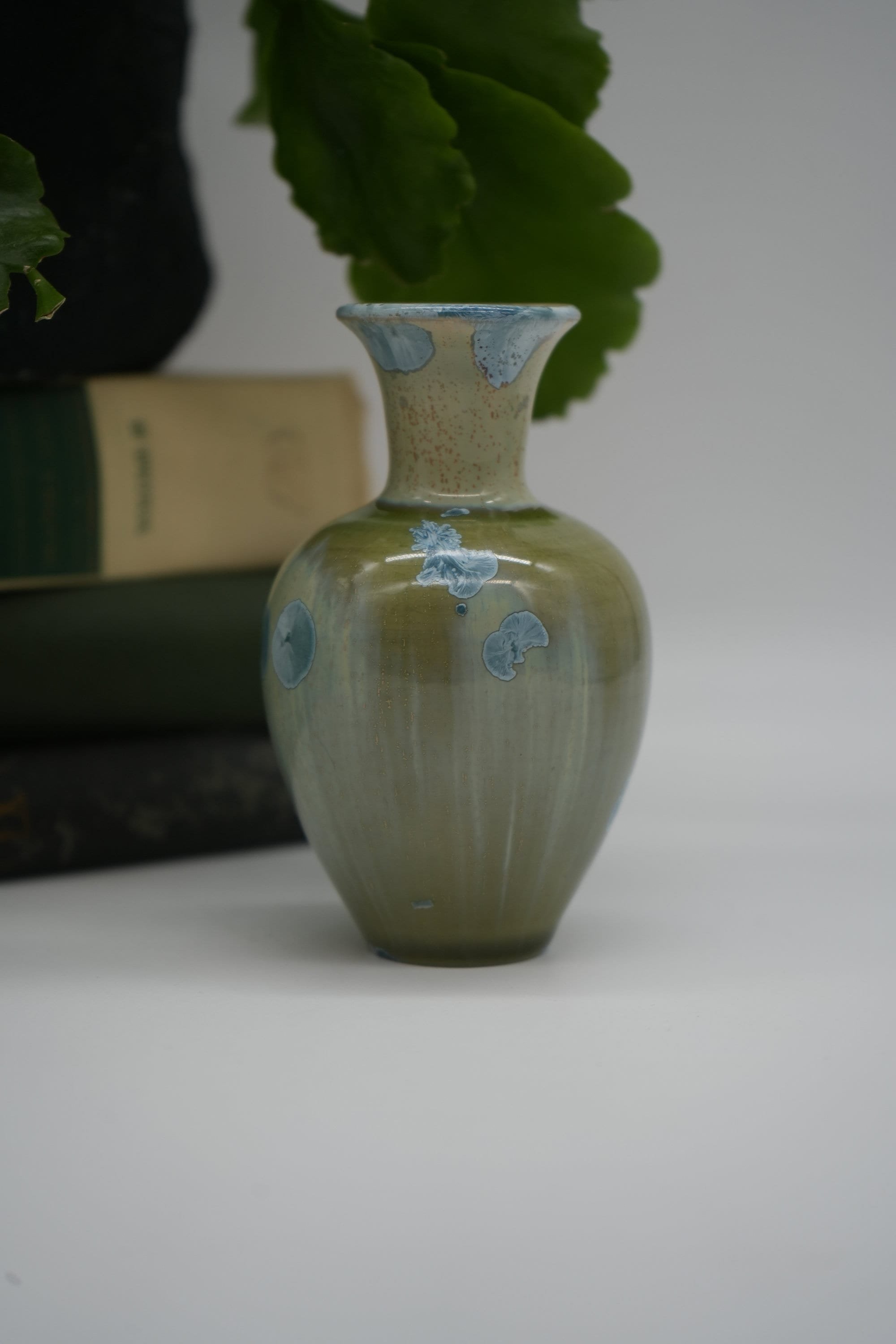 https://i.etsystatic.com/37121269/r/il/cb2c21/5616718059/il_fullxfull.5616718059_8snc.jpg