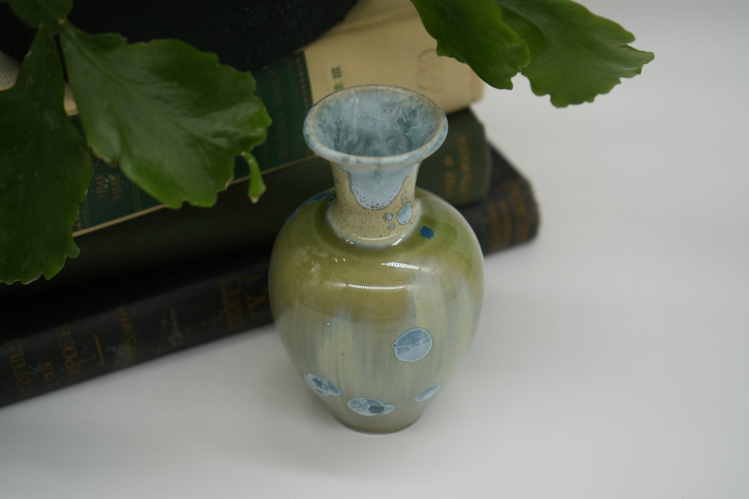https://i.etsystatic.com/37121269/r/il/8d81b3/5616718667/il_fullxfull.5616718667_rlhn.jpg