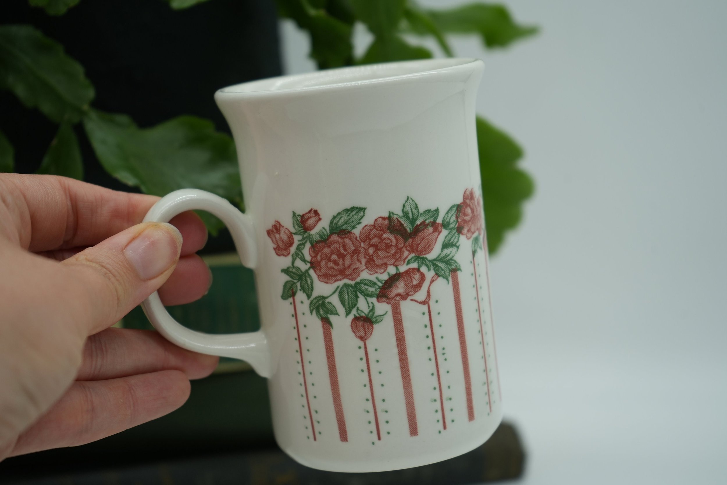 https://i.etsystatic.com/37121269/r/il/d5bc47/5610736863/il_fullxfull.5610736863_b8re.jpg
