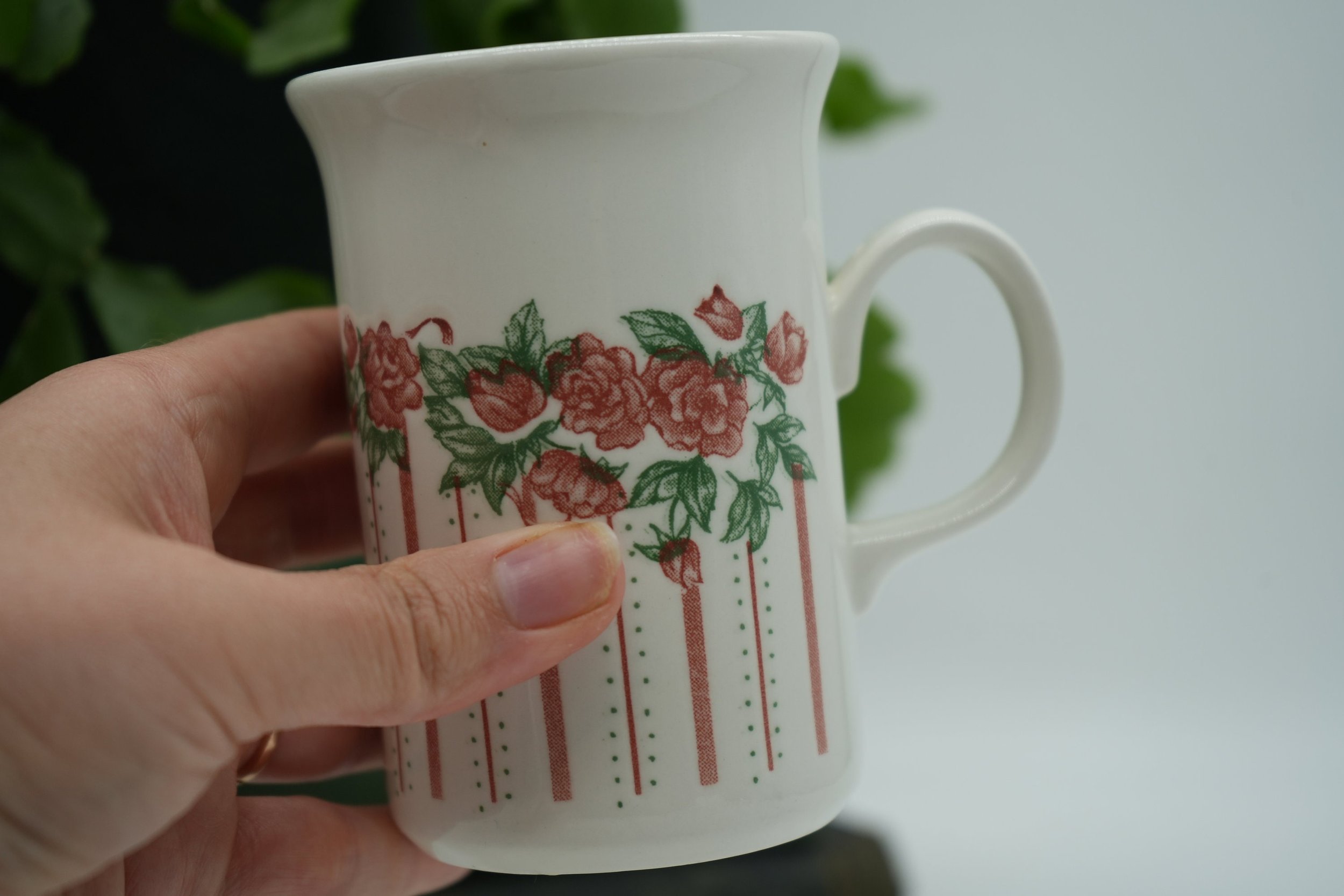 https://i.etsystatic.com/37121269/r/il/1ef708/5610737435/il_fullxfull.5610737435_a9ze.jpg