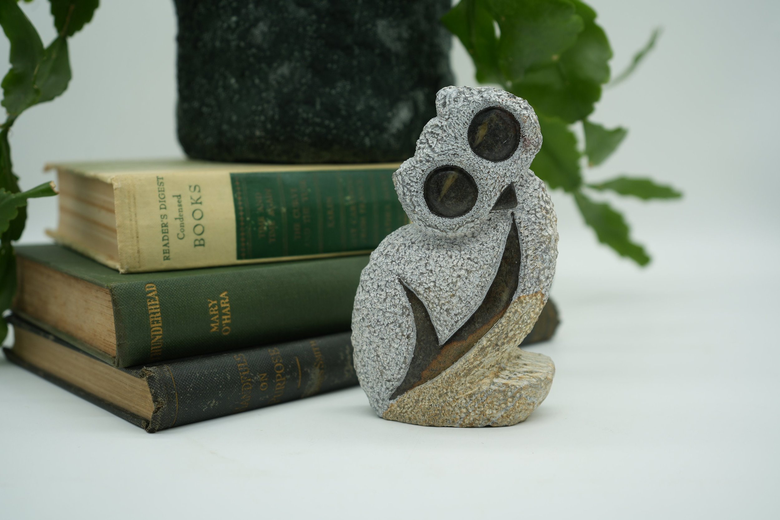 https://i.etsystatic.com/37121269/r/il/ae67ff/5874189088/il_fullxfull.5874189088_gv7j.jpg