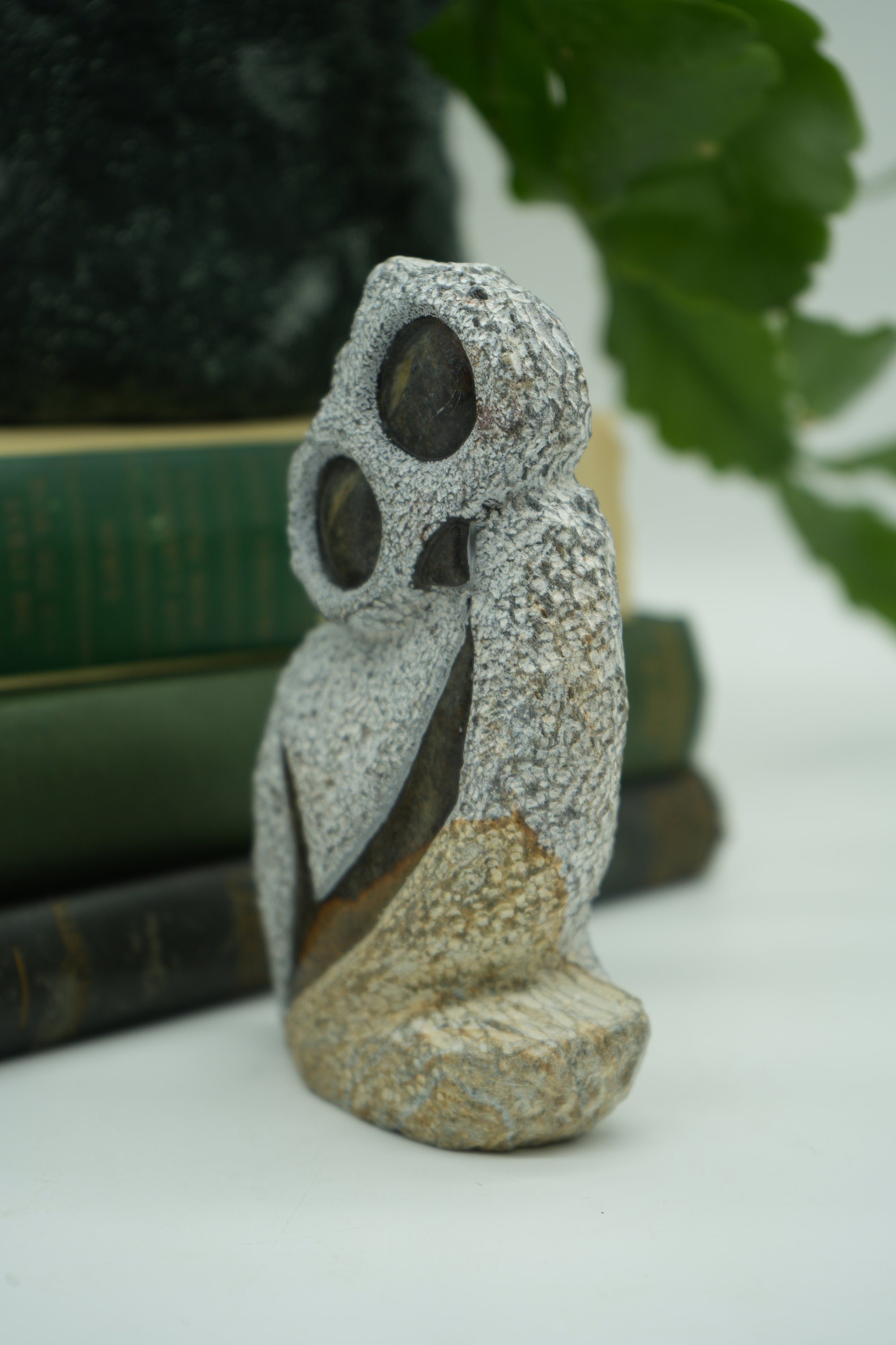 https://i.etsystatic.com/37121269/r/il/4fb4f4/5874189078/il_fullxfull.5874189078_ddxa.jpg