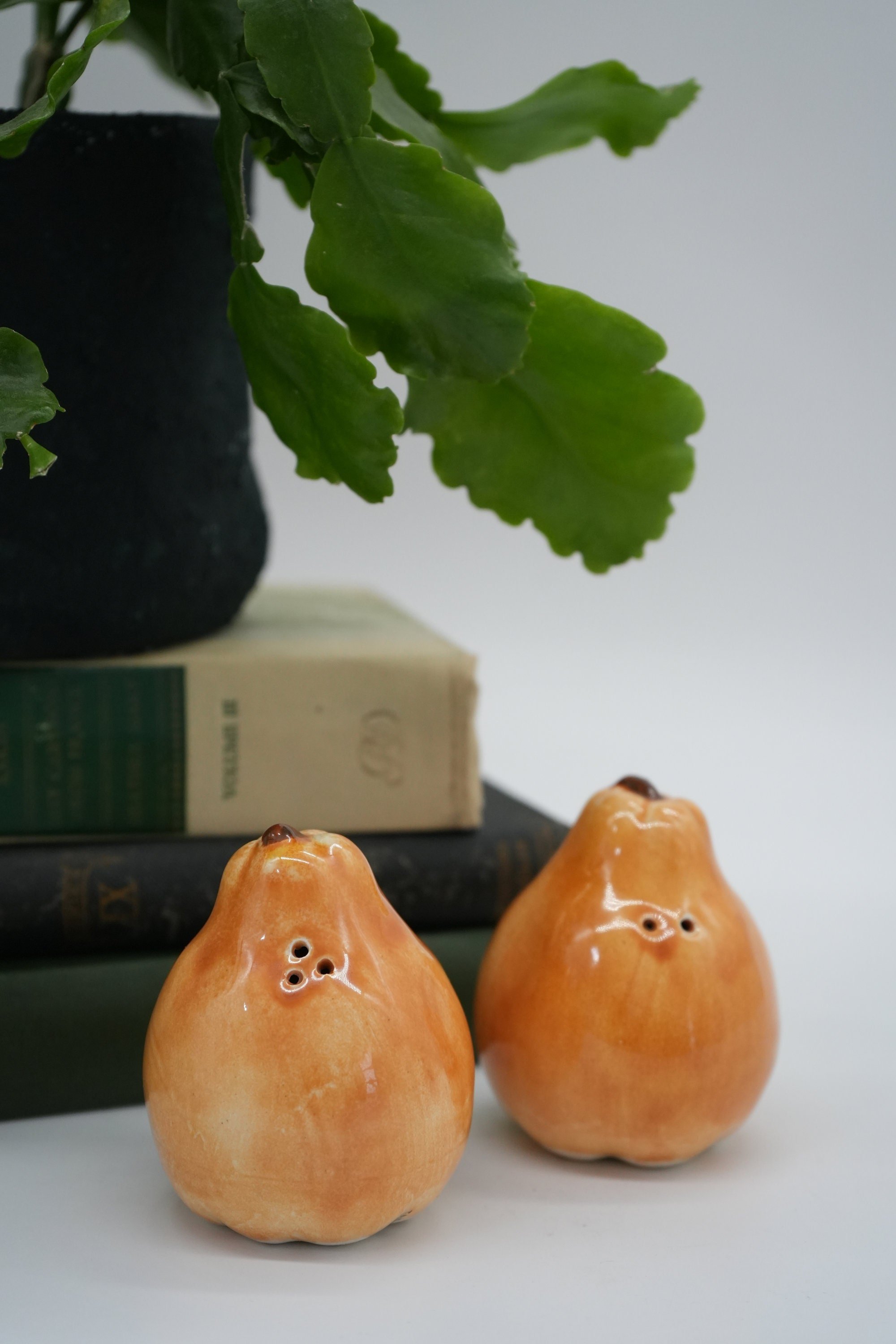 https://i.etsystatic.com/37121269/r/il/d9573c/5165988455/il_fullxfull.5165988455_mdb2.jpg
