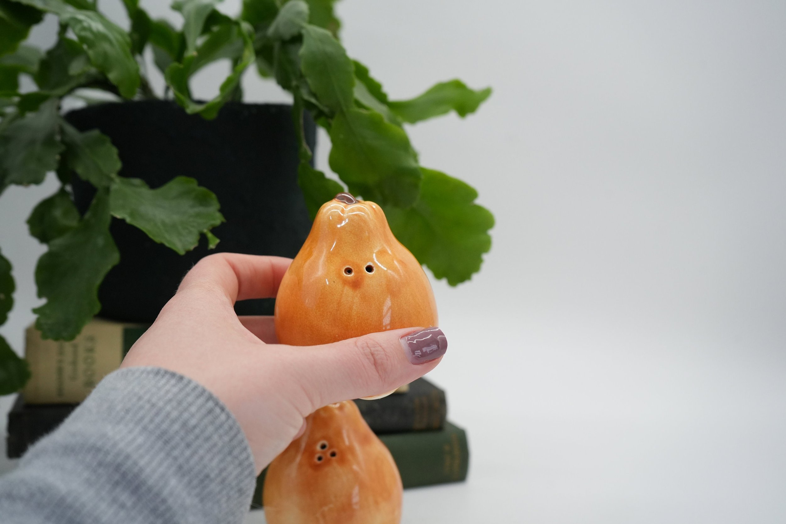https://i.etsystatic.com/37121269/r/il/f8eba8/5165988421/il_fullxfull.5165988421_5can.jpg