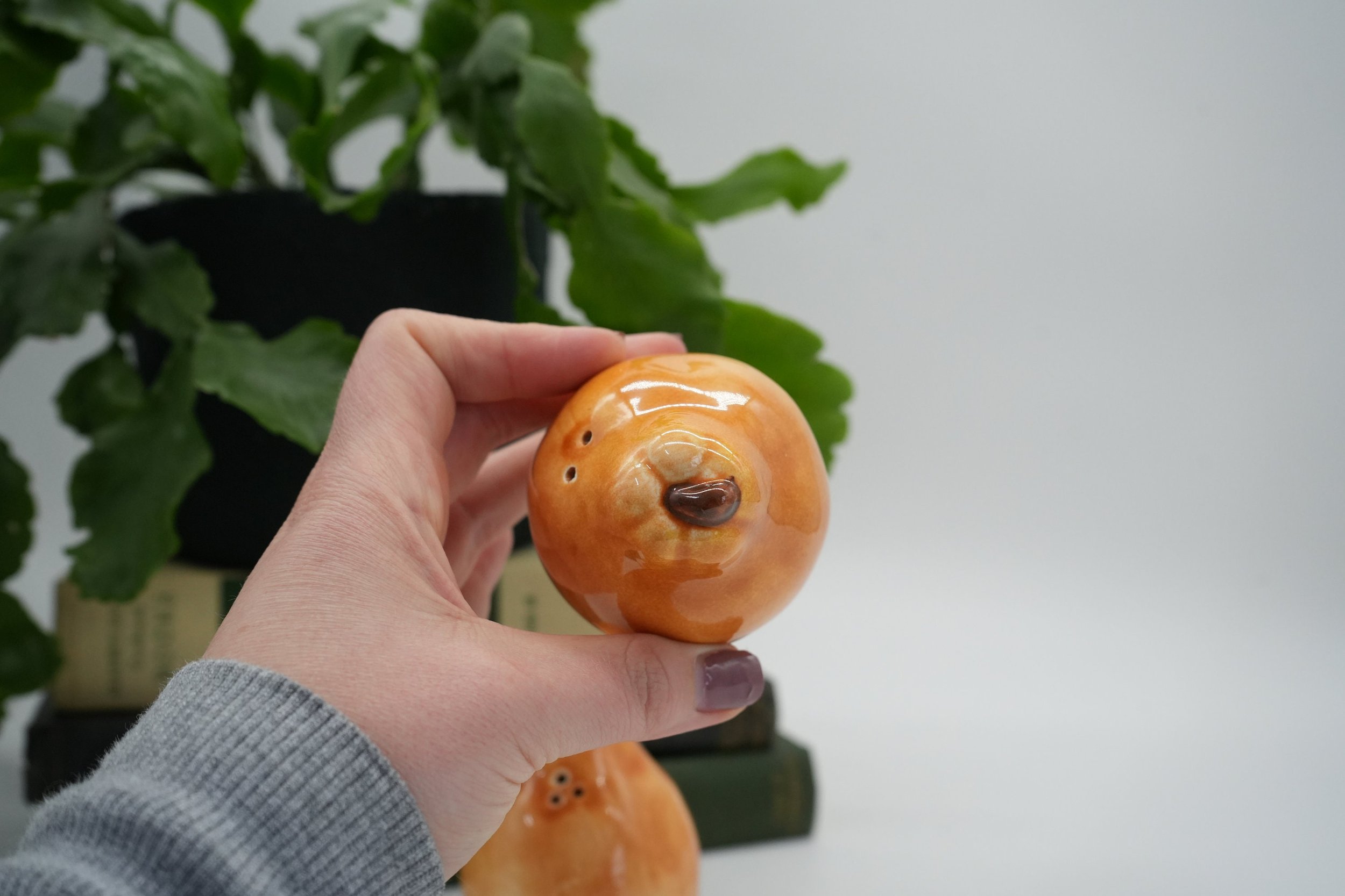 https://i.etsystatic.com/37121269/r/il/cc8056/5165988437/il_fullxfull.5165988437_rt4o.jpg