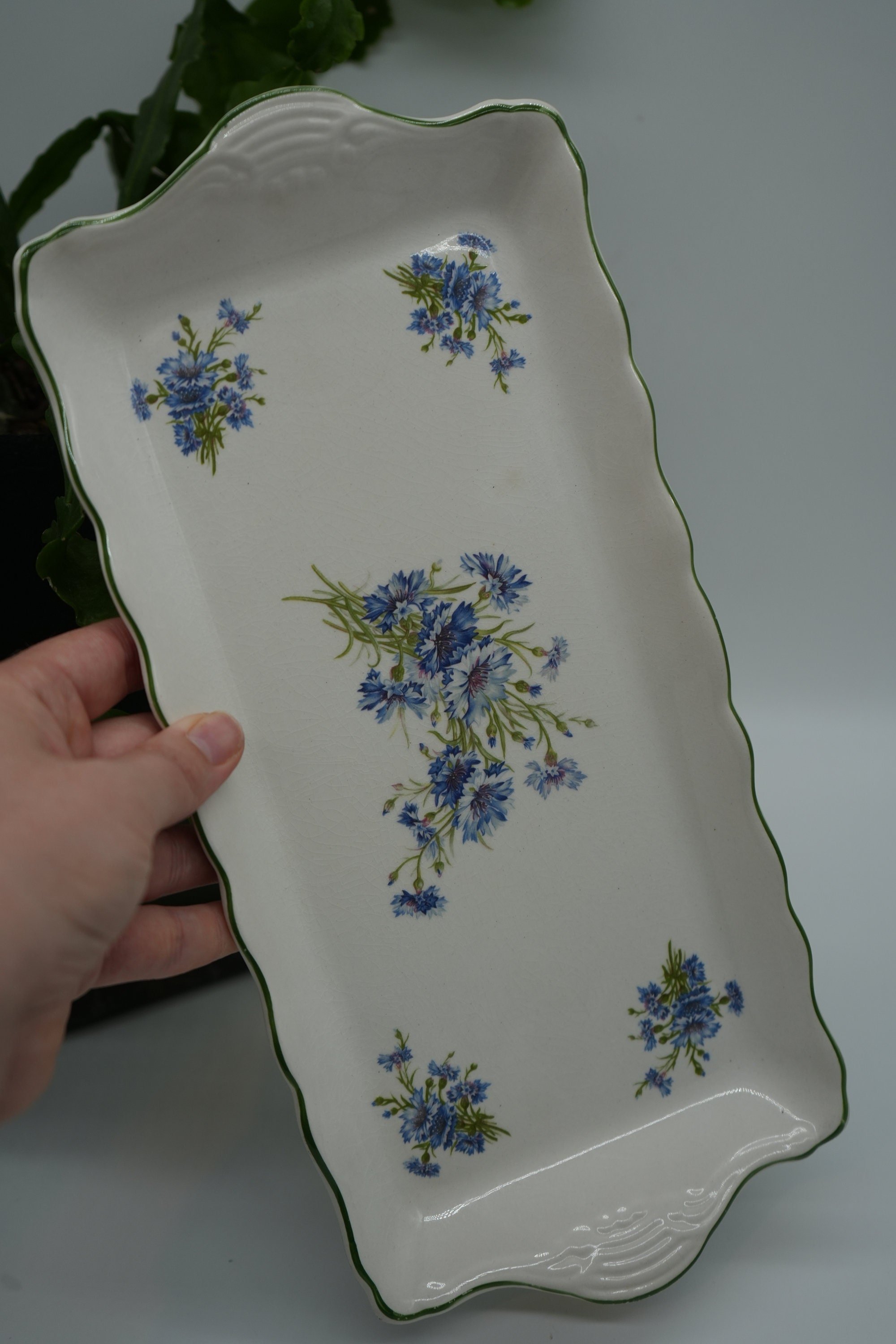 https://i.etsystatic.com/37121269/r/il/d2133f/5521713372/il_fullxfull.5521713372_9e53.jpg