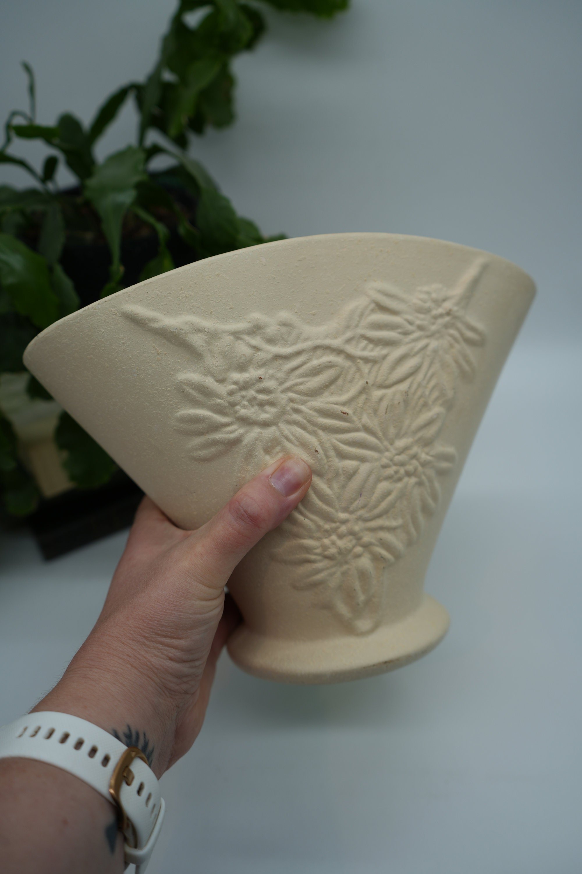 https://i.etsystatic.com/37121269/r/il/aa135b/5569781749/il_fullxfull.5569781749_fmlg.jpg