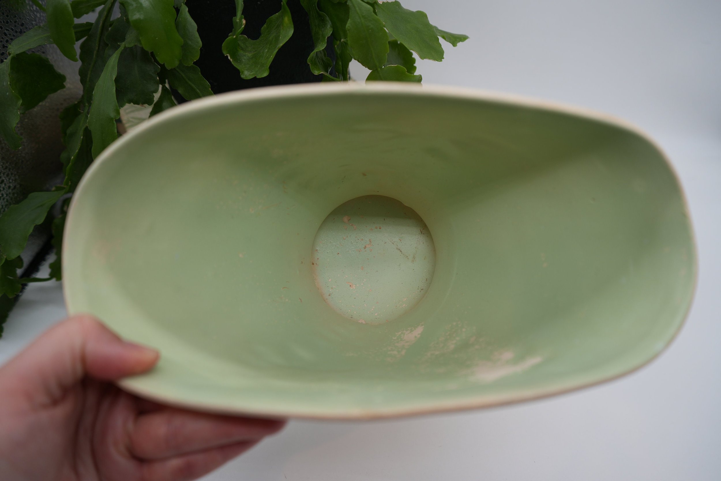 https://i.etsystatic.com/37121269/r/il/22643b/5569781741/il_fullxfull.5569781741_6p9q.jpg
