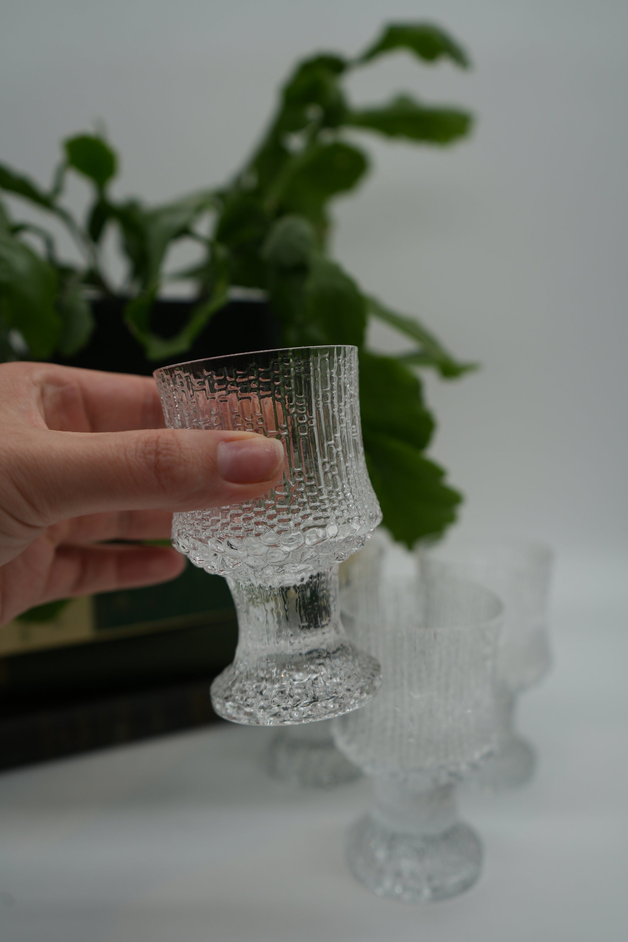 https://i.etsystatic.com/37121269/r/il/5d8e19/5521586644/il_fullxfull.5521586644_g8k6.jpg