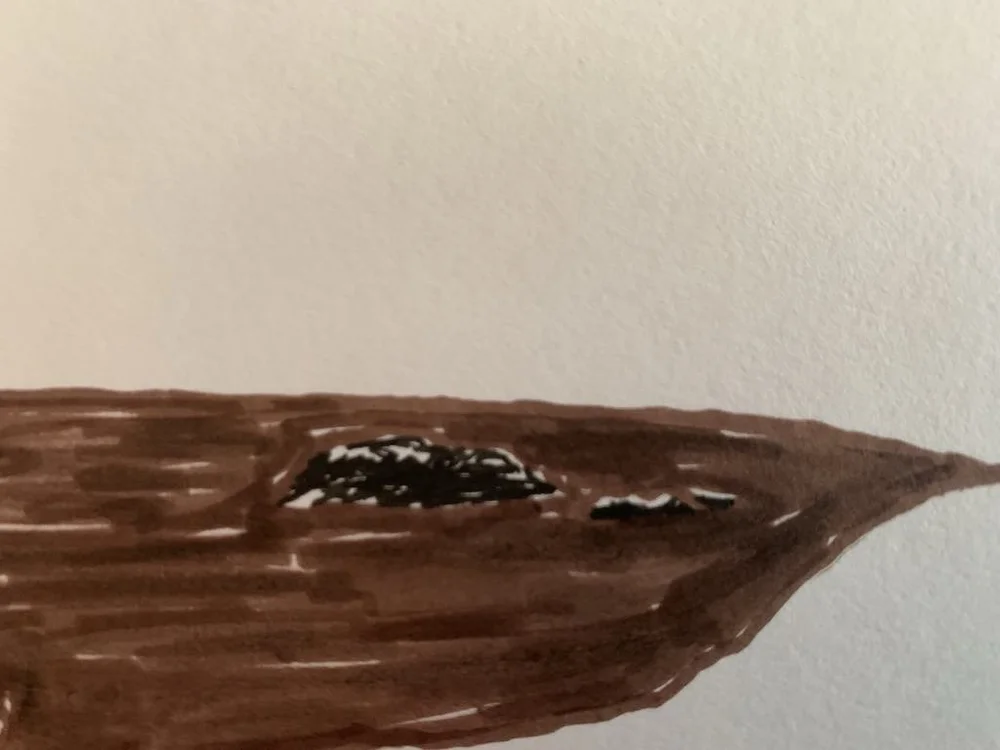 476306e6-3ff2-4b3a-b77c-2f53e03fc377.jpeg