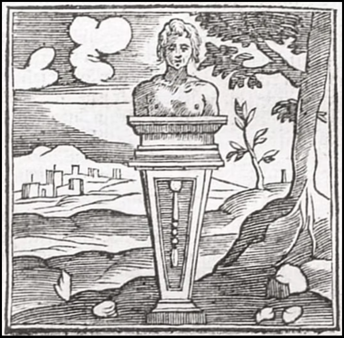 Terminalia - what it is