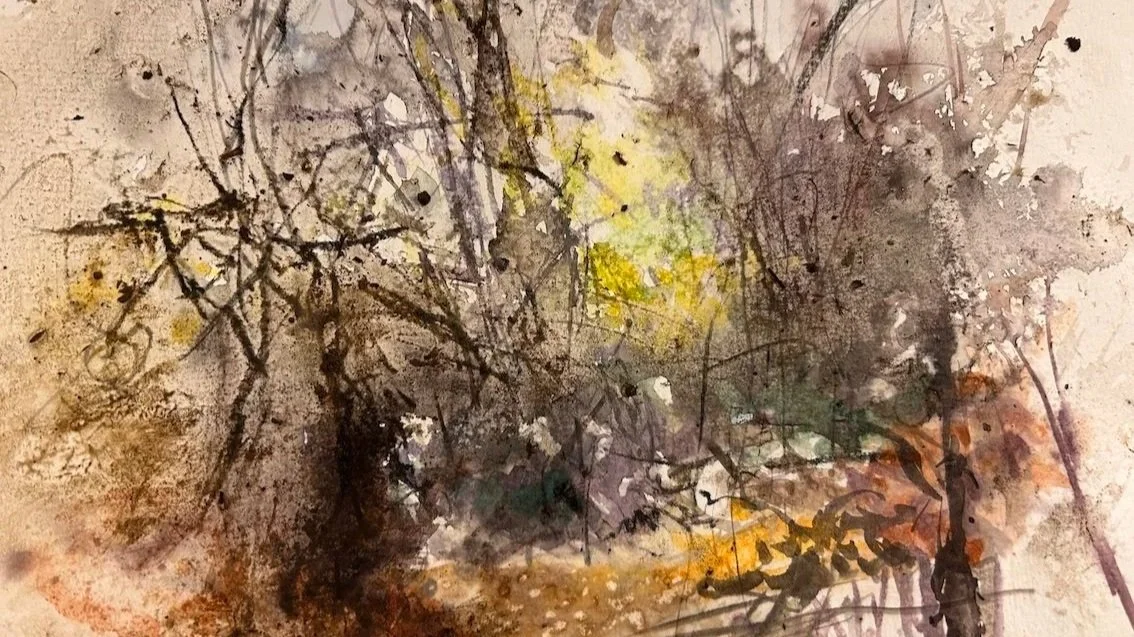 Deep Encounters - Coal Barton Wood 2026