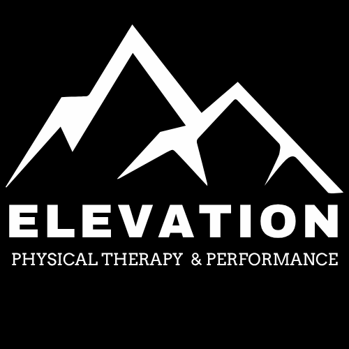 Elevation Physical Therapy and Performance logo
