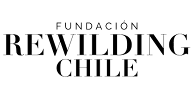 Rewilding Chile