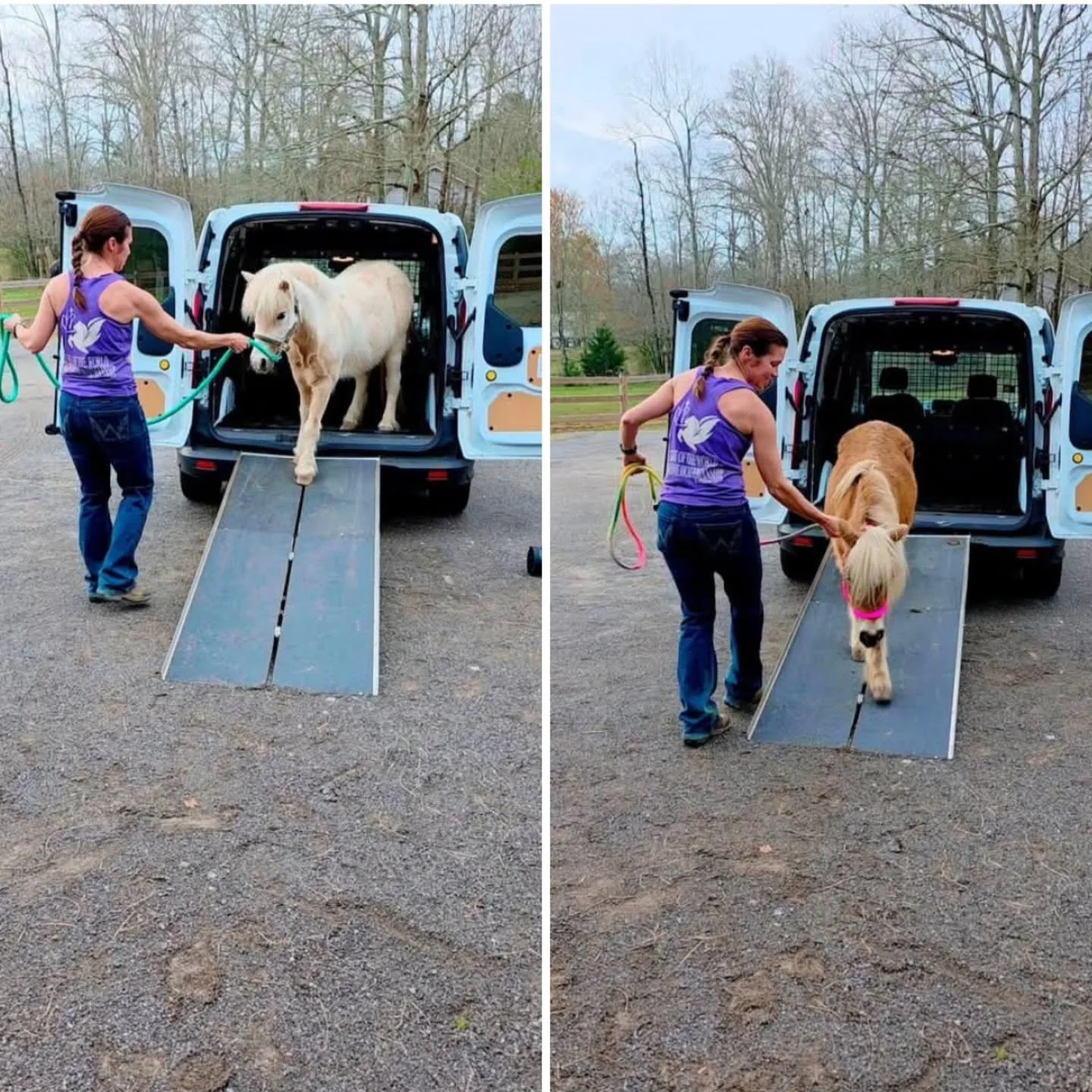 Something exciting is happening here this morning&hellip; 👀🐴
The "Mini Wings" van is getting an upgrade that will help us bring our mini therapy horses to more hospitals, nursing homes, and facilities in the community.
Any guesses what we