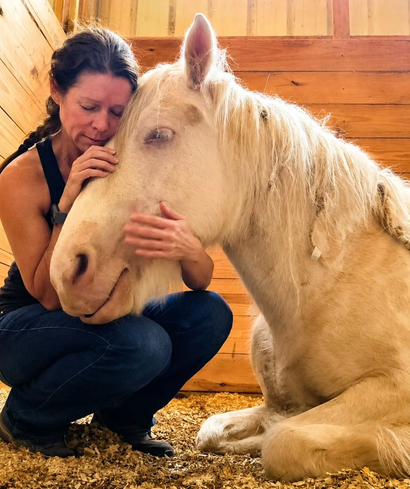 💜 Some bonds don't need words.💜
There are moments in the barn when the world seems to slow down... and this was one of them.
Horses have a way of reaching places in our hearts that few others can. They don't care about titles, achievements, or stru