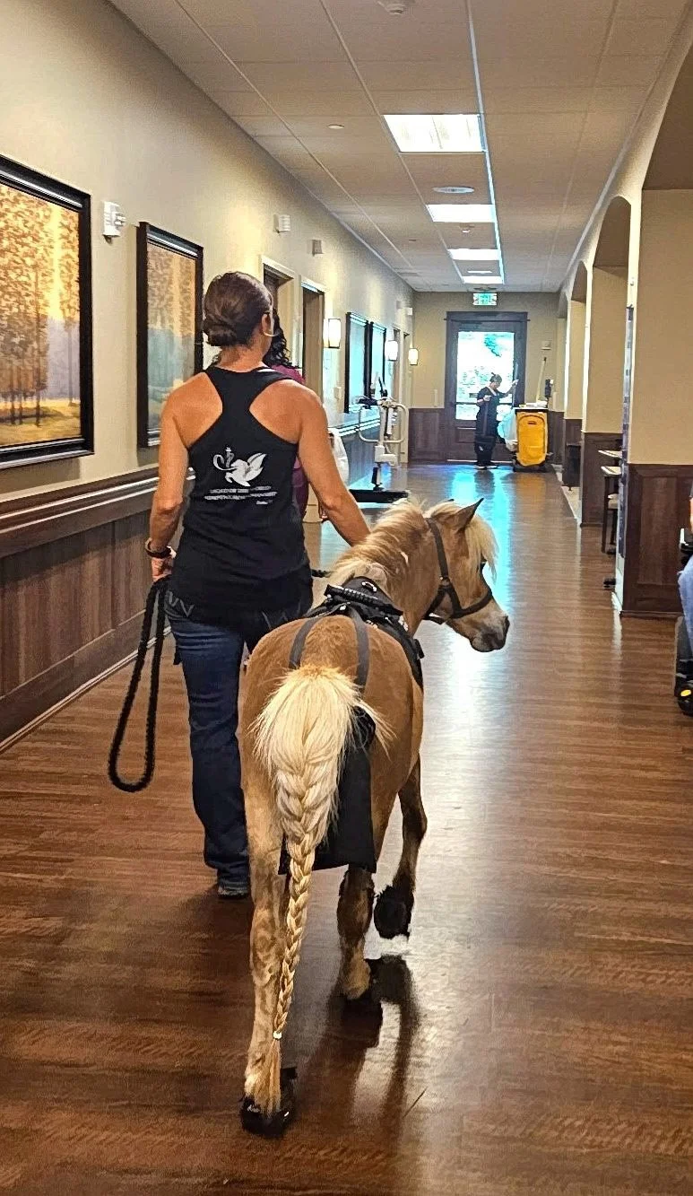 Horses 4 Heroes-6.jpg