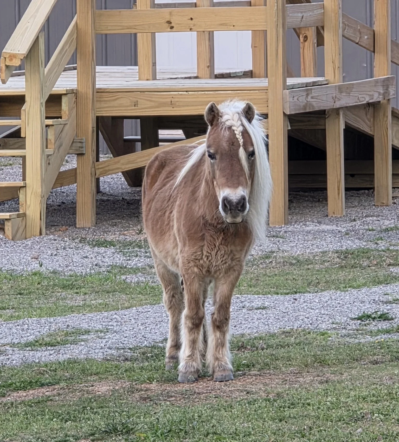 20260328_065603.jpg