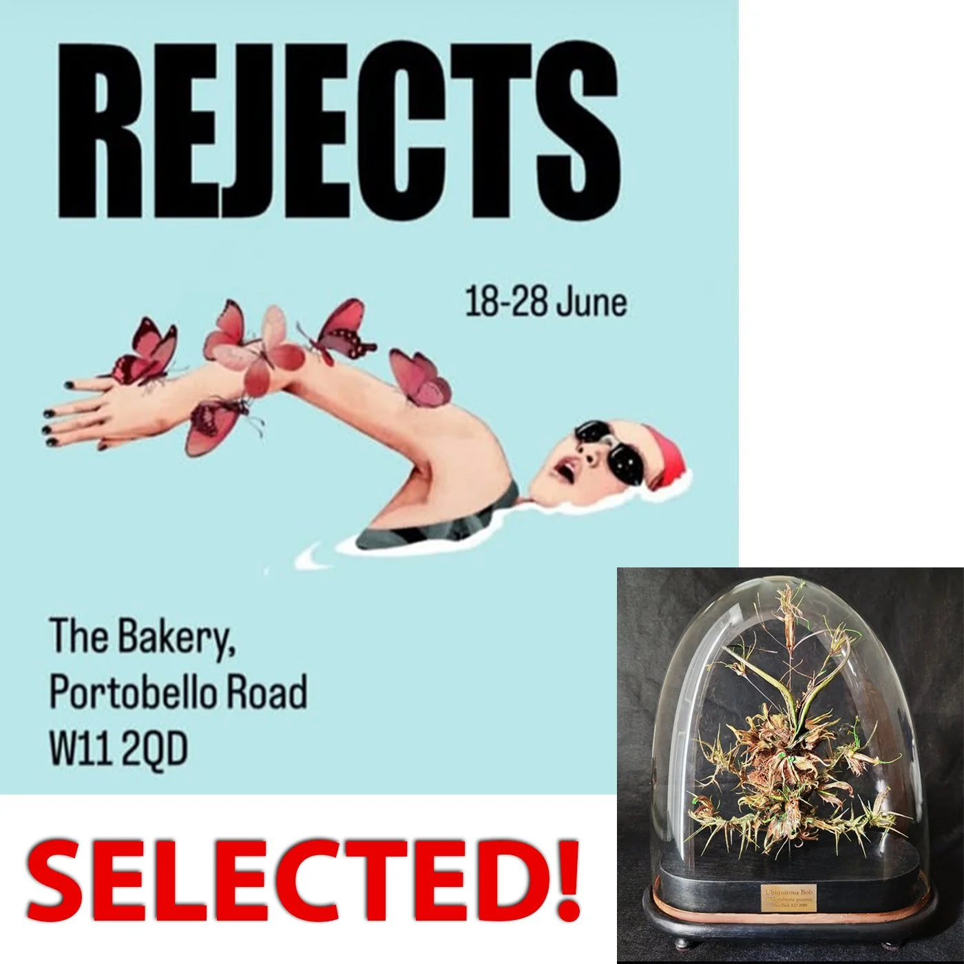 Rejects Slide Show Image copy.jpg
