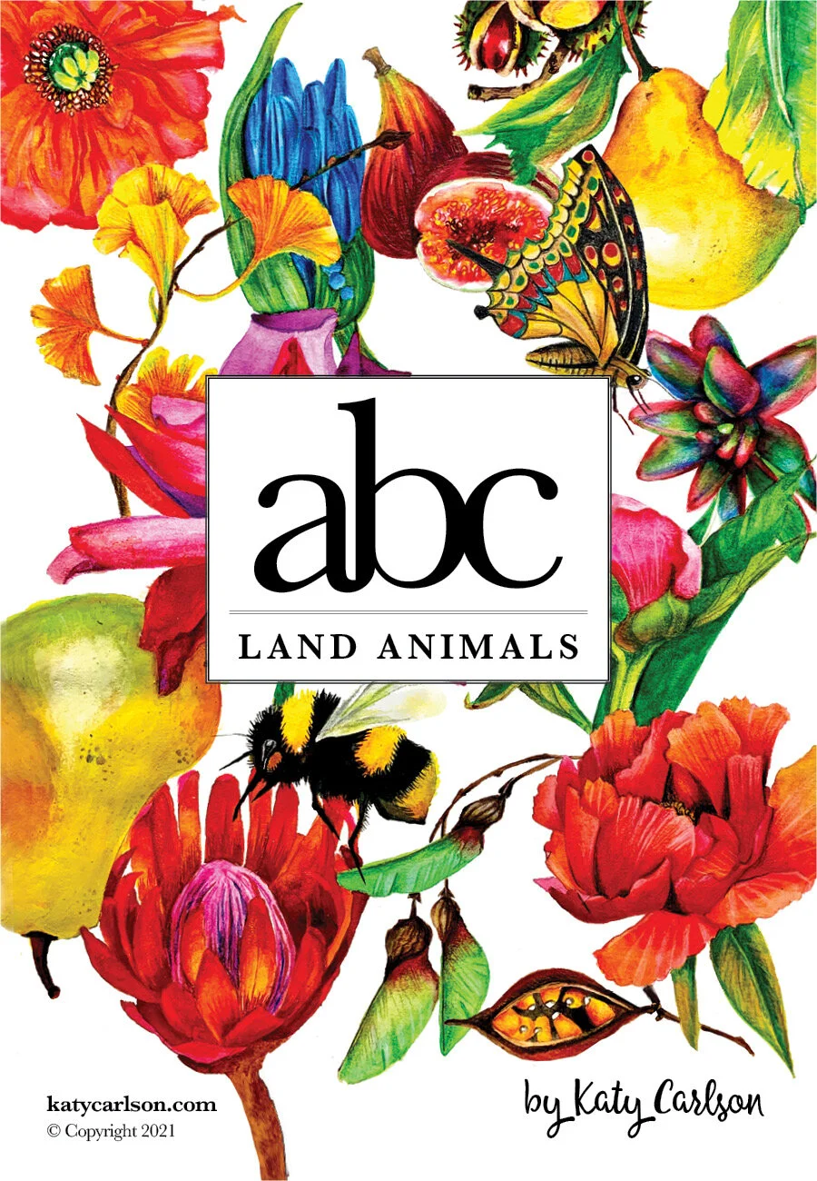 Alphabet Card Set - LAND ANIMALS