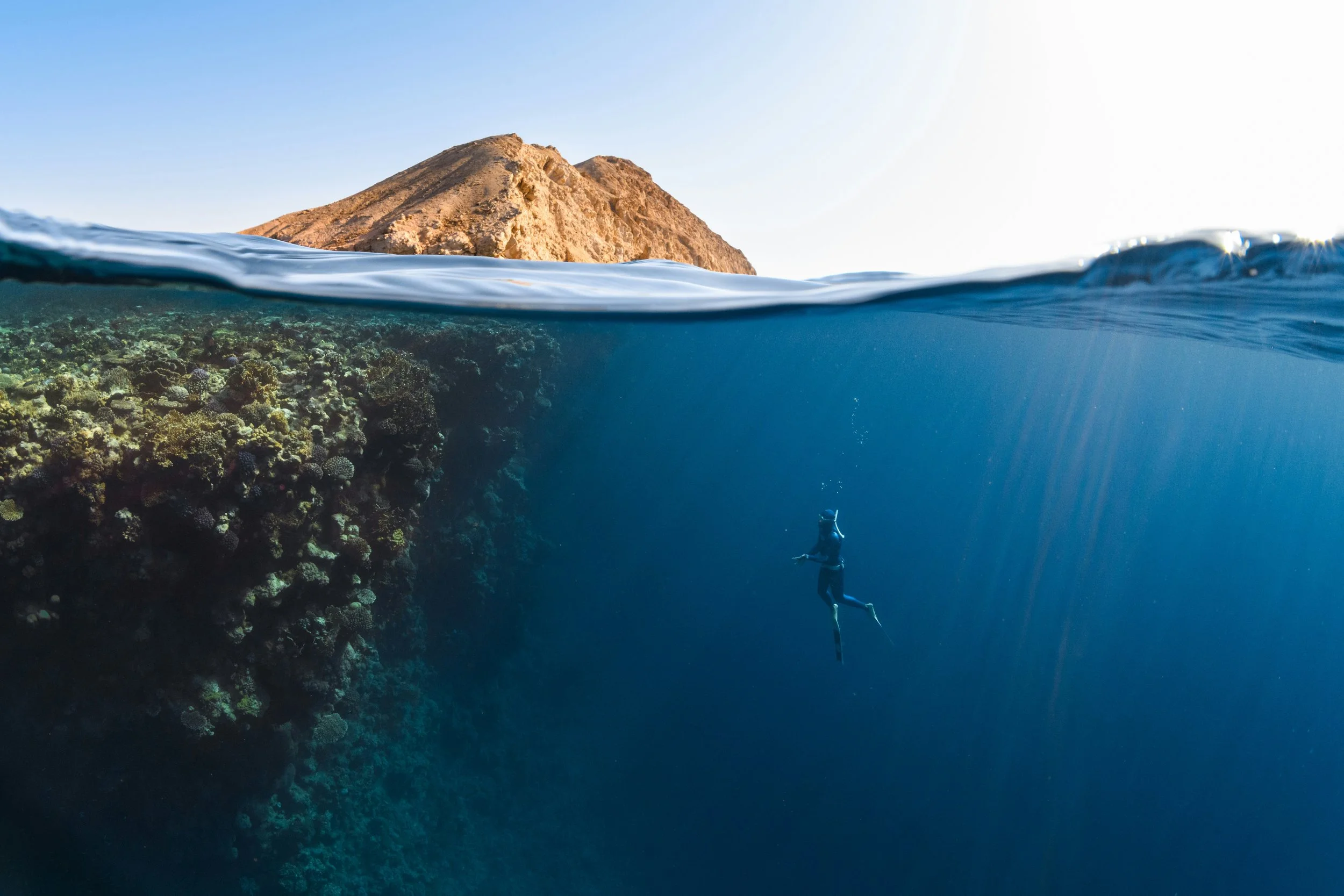 Nature as National Asset: How the Middle East Is Turning Biodiversity into Economic Opportunity