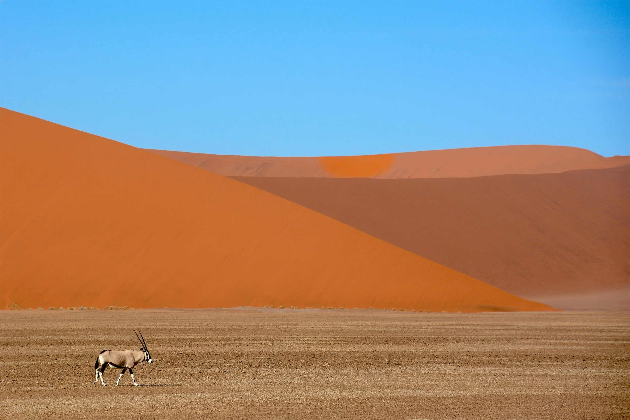 Tourism and Biodiversity: Unlocking Value in the MENA Green Economy 