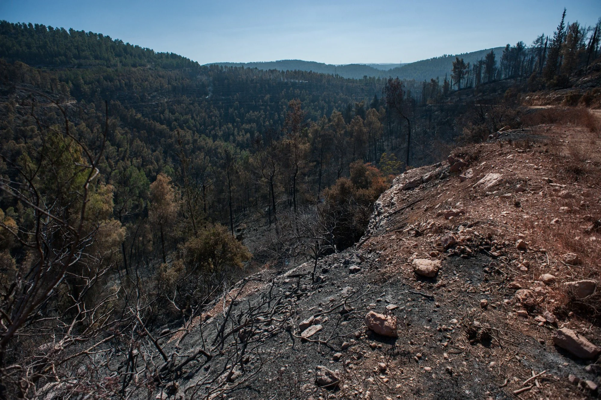 Land grabbing and habitat encroachment: 