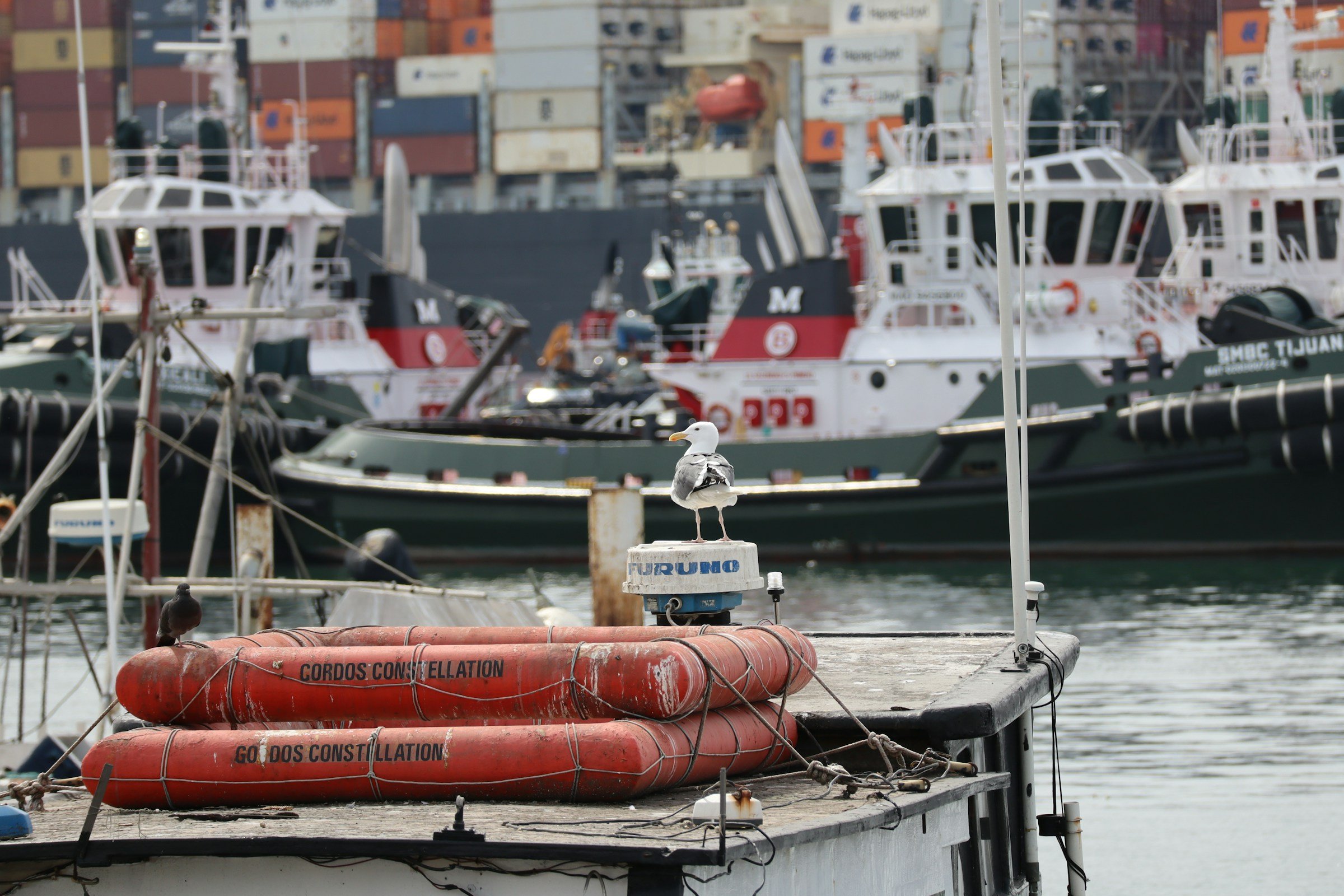 Mexico Now America’s Top Trading Partner as USMCA Review Looms