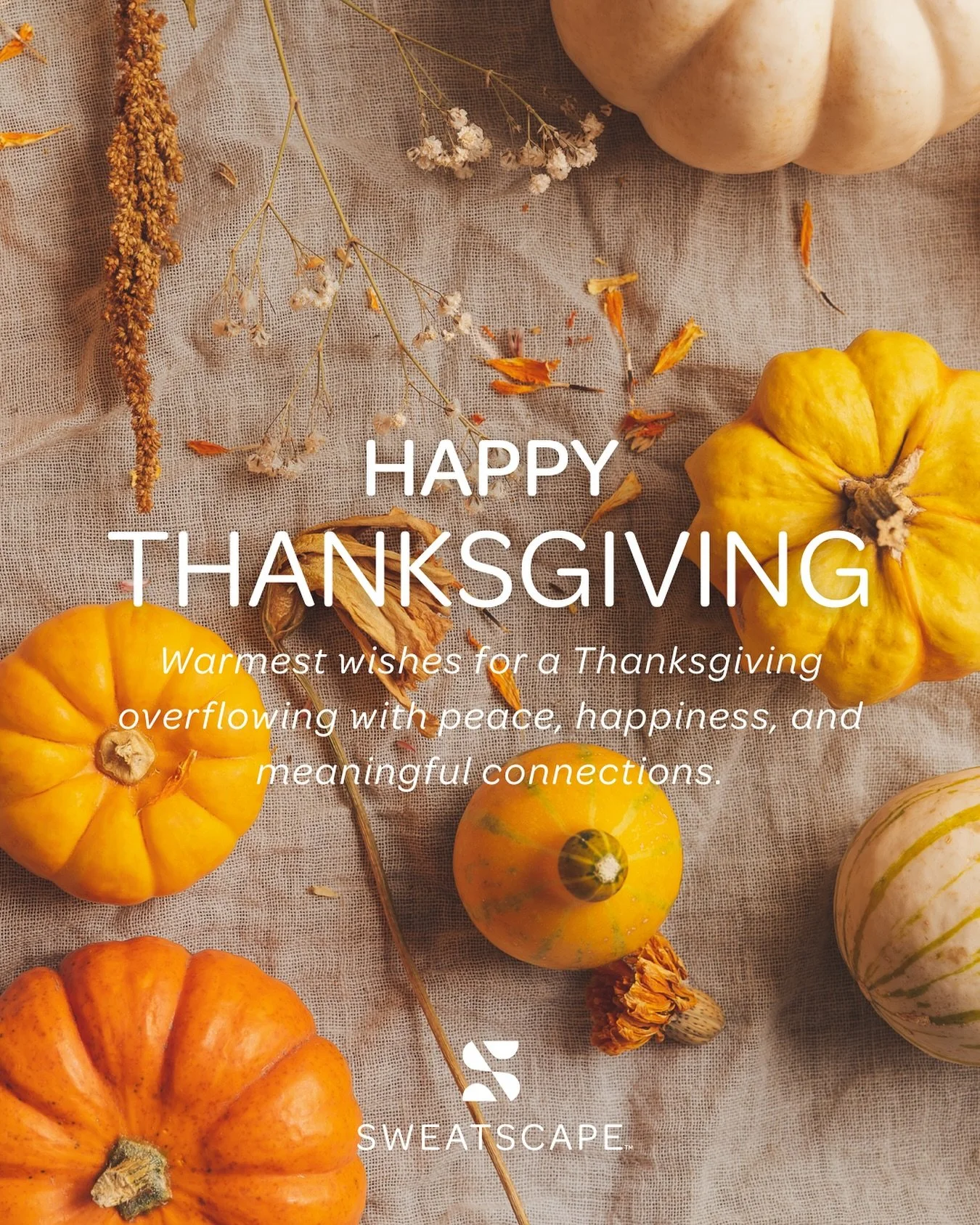 Happy Thanksgiving! 🦃

As always, we are so thankful for all the support from our loving community! 🤍