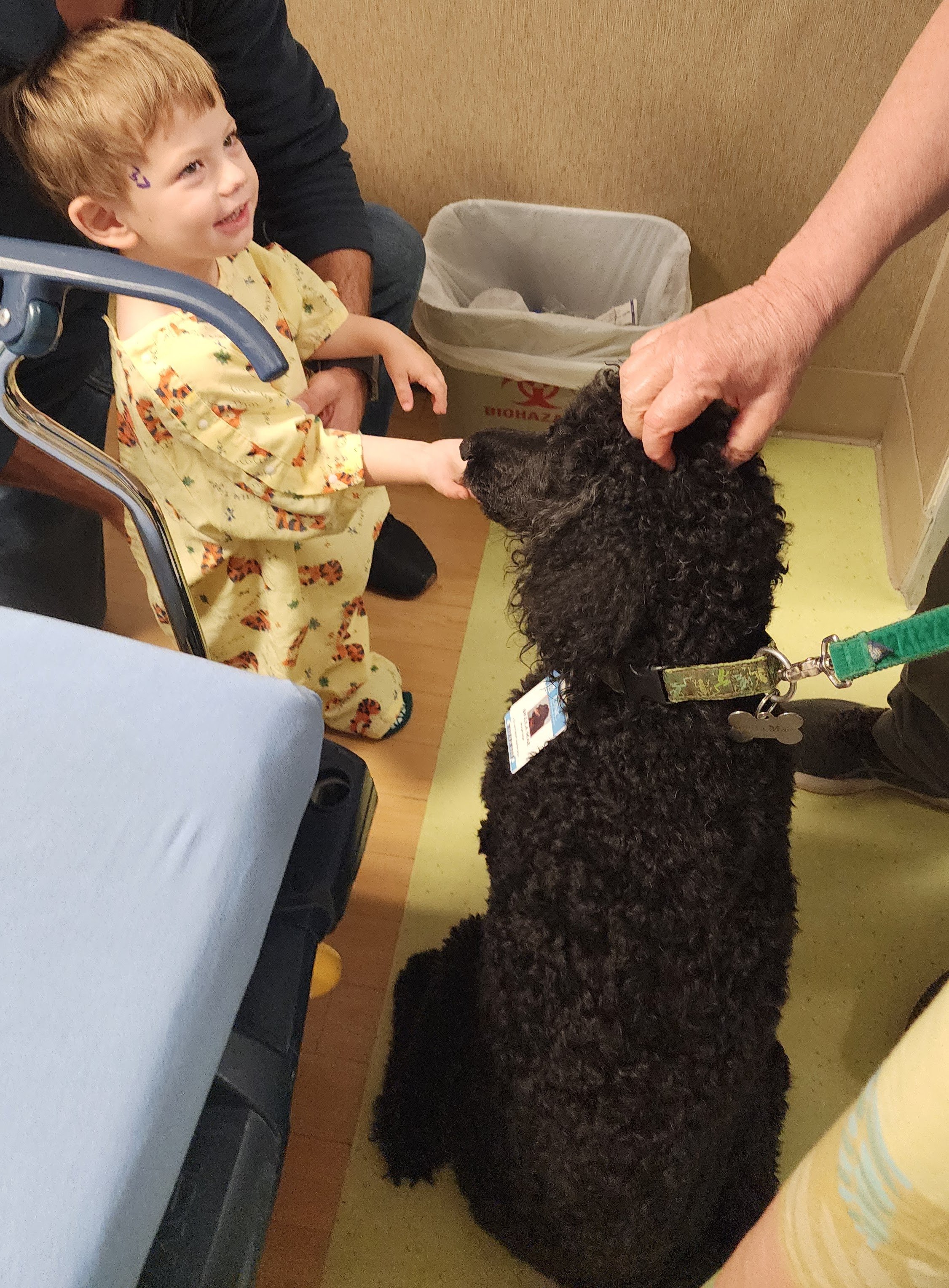 He was able to meet the therapy puppy