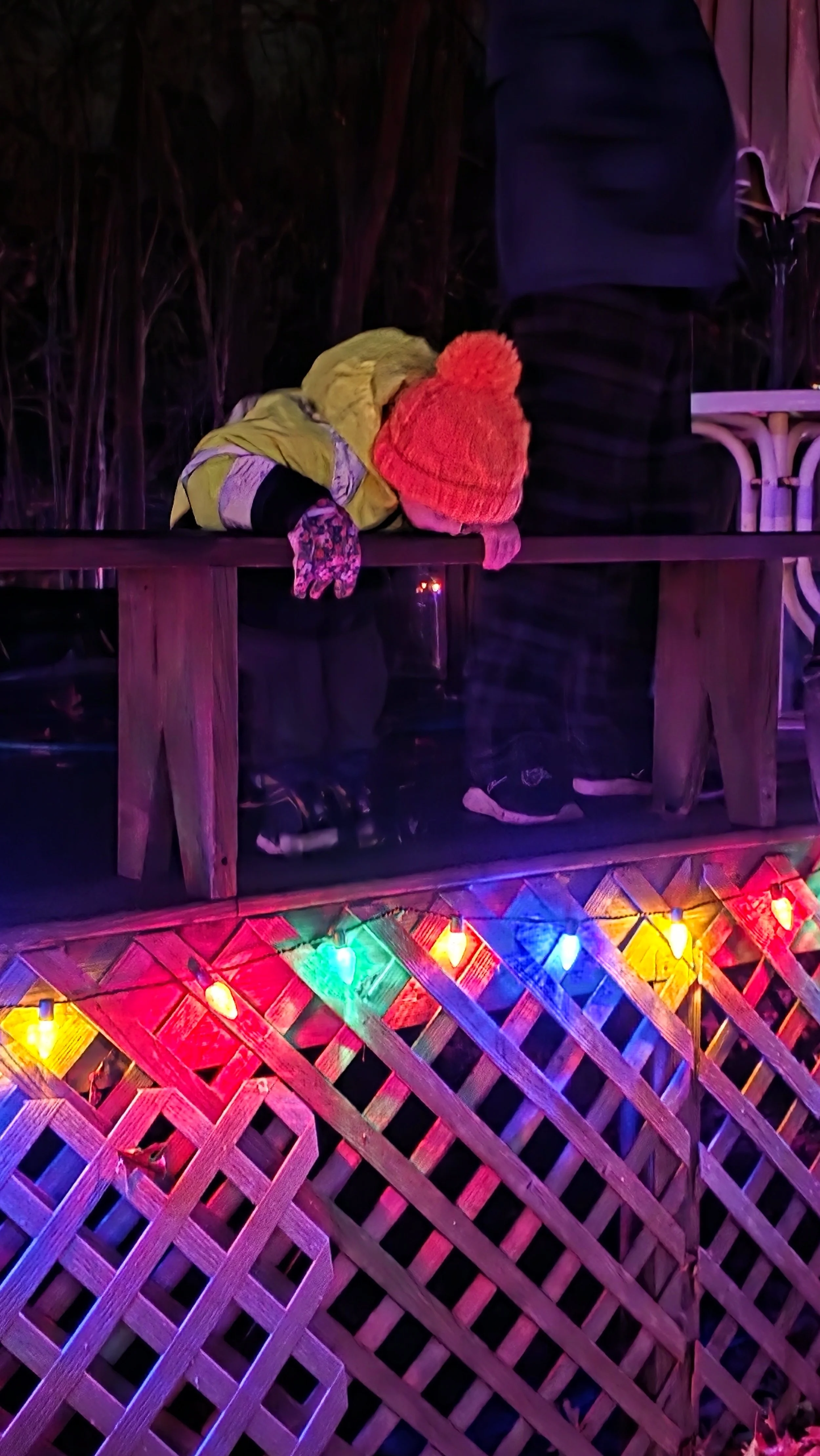 20251130_191644.jpg