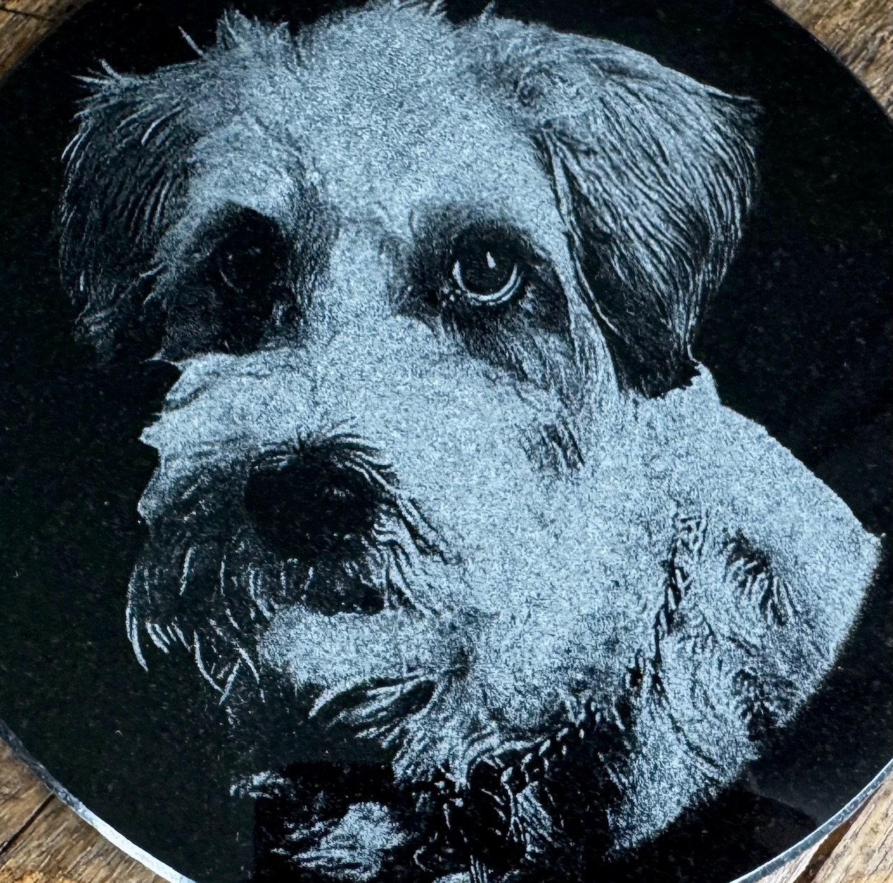 Dog portrait on granite