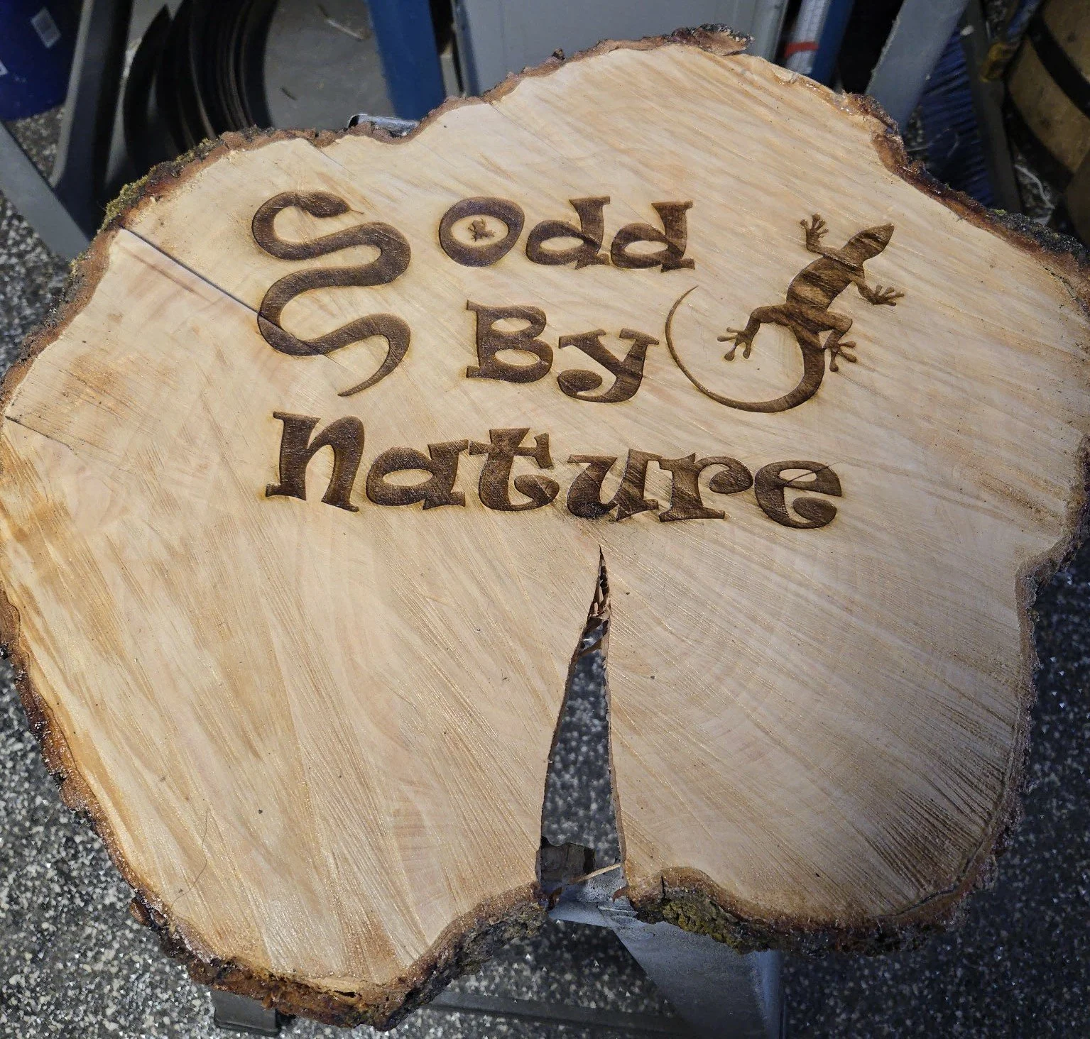 Tree stump sign engraved with the saying Odd by Nature with snake and lizard image