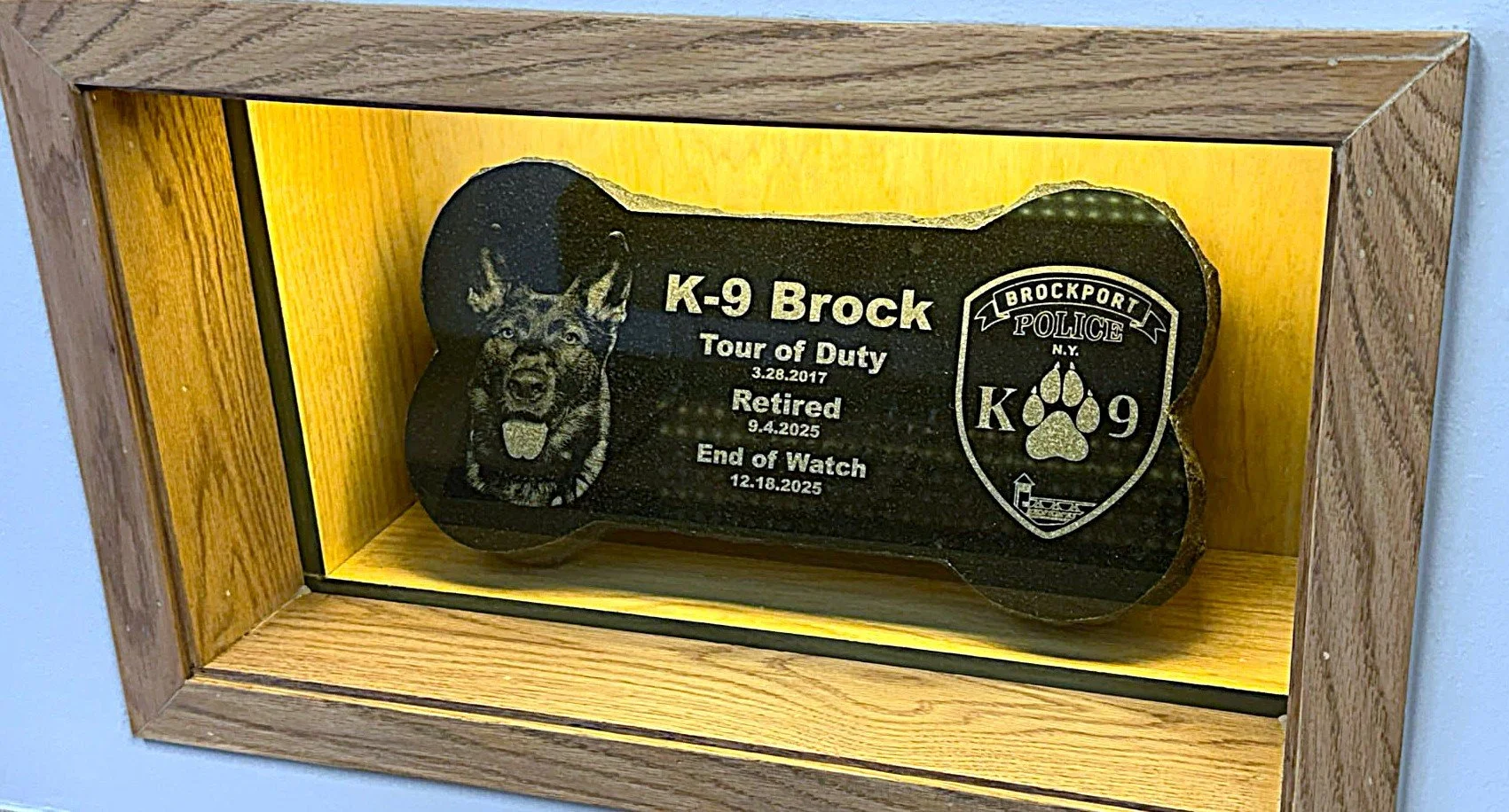 Granite dog bone engraved for the late k9 officer Brock. Engraved with his name, photo, dates of service and end of watch date.