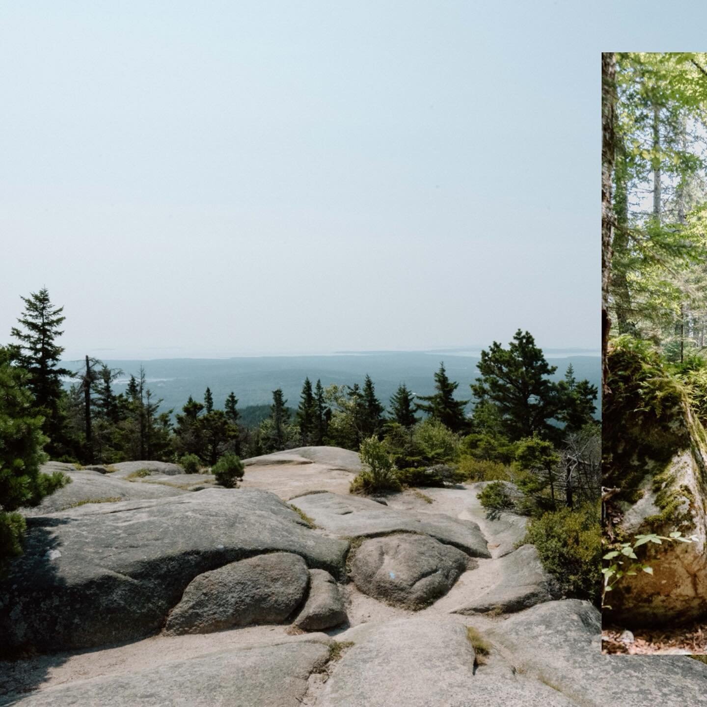 Spent the last weekend of July enjoying the sights of Acadia! I brought my nice camera along vacation for once and though hiking it up a mountain was tough, it was totally worth it!