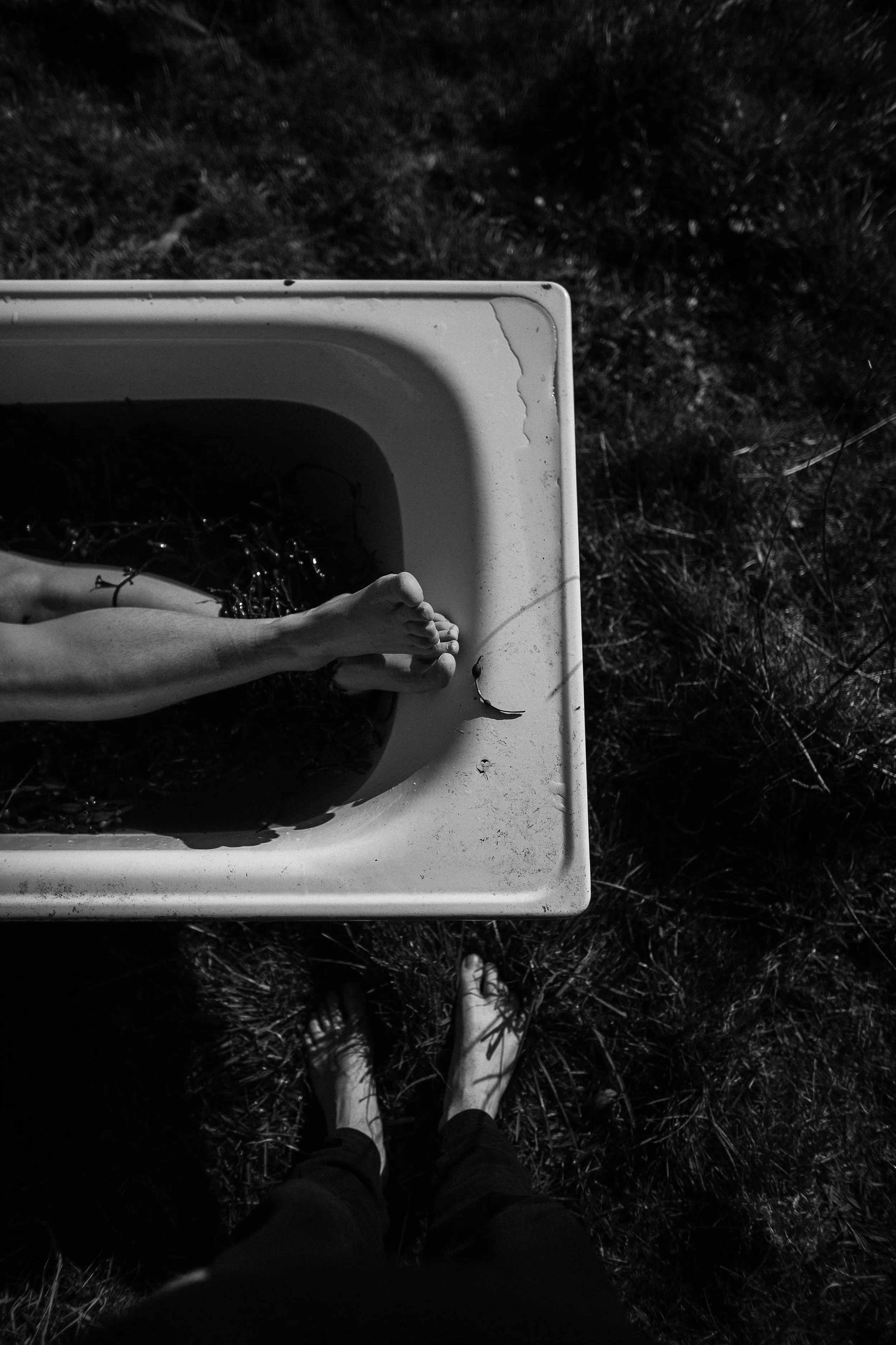 Black and white photo of a person's legs and feet standing on grass, viewed from above. A plastic container with leaves and a branch inside is in front of the person.