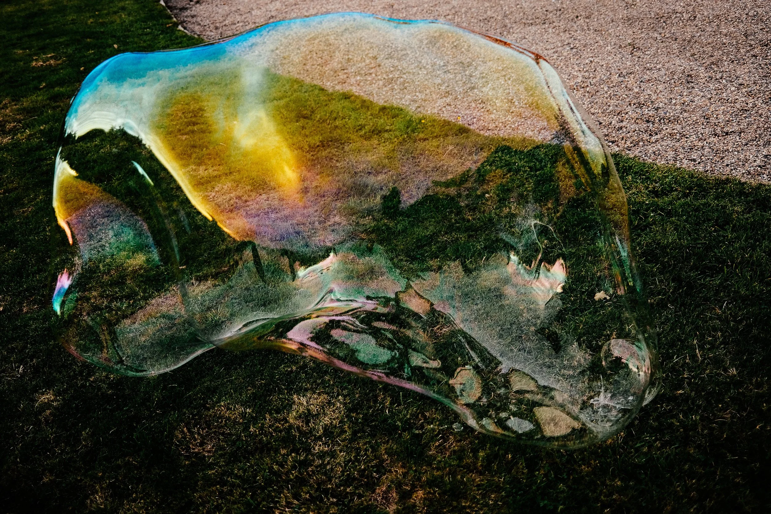 A large soap bubble resting on grass near a gravel walkway, showing reflections of the environment inside the bubble.