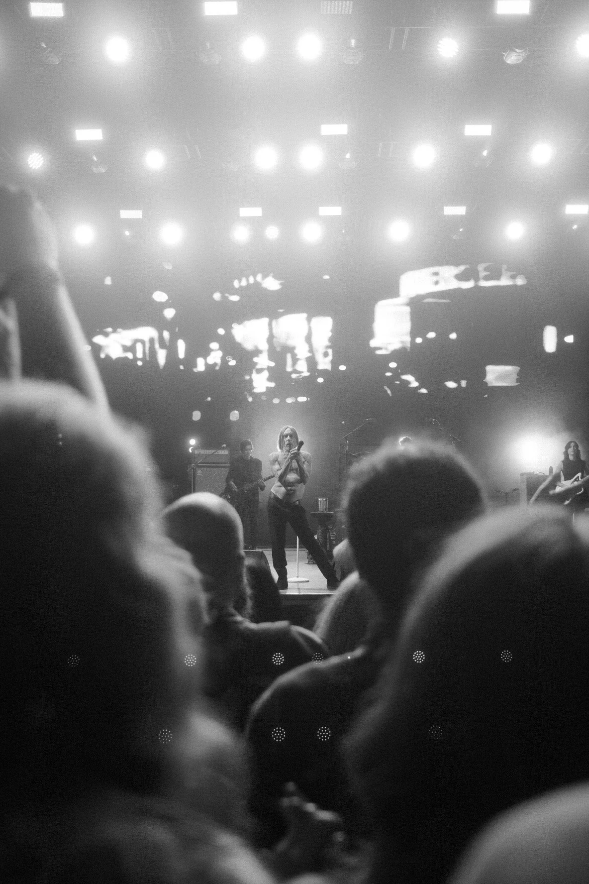 Black and white photograph of a live concert with the singer striking a pose, backed by musicians on stage, audience members' heads visible in the foreground, bright stage lights overhead, and a large screen displaying abstract visuals in the backgro