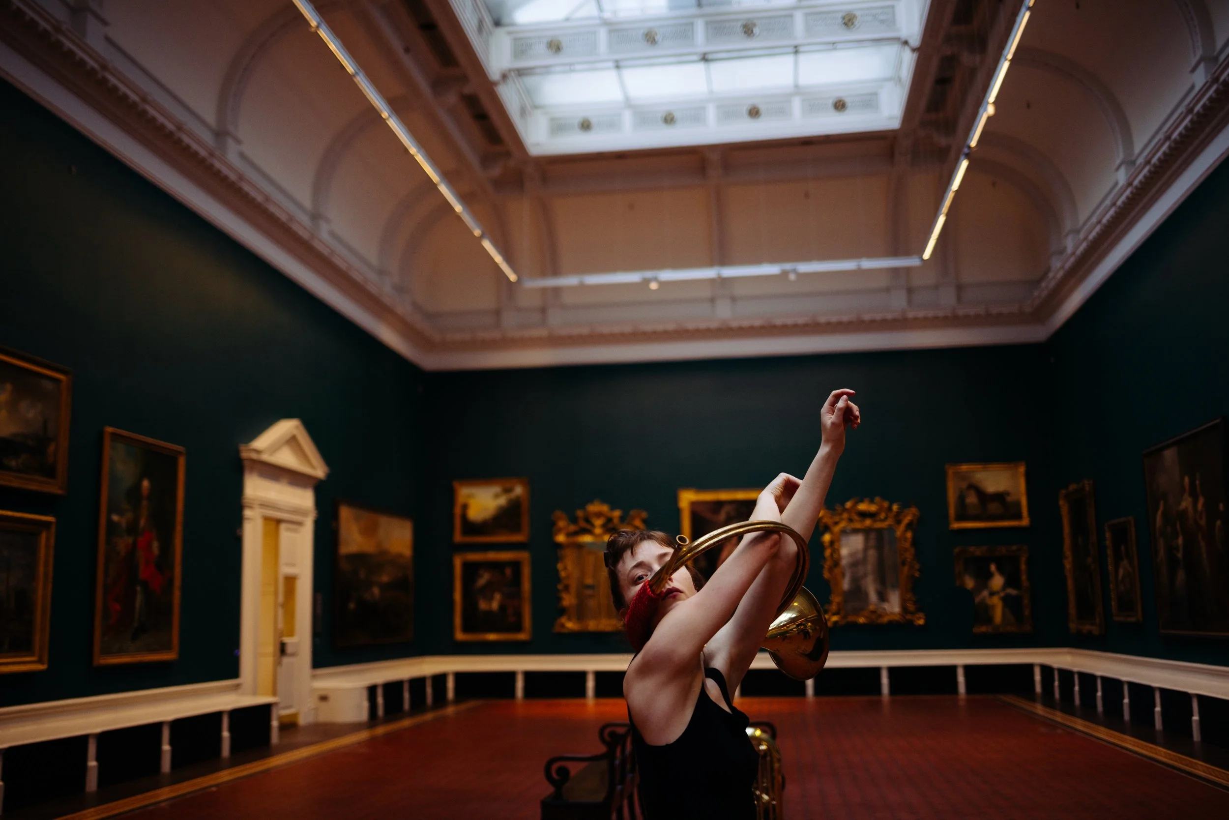 THE FLAG by Emily Aoibheann (Anja Nicholson)