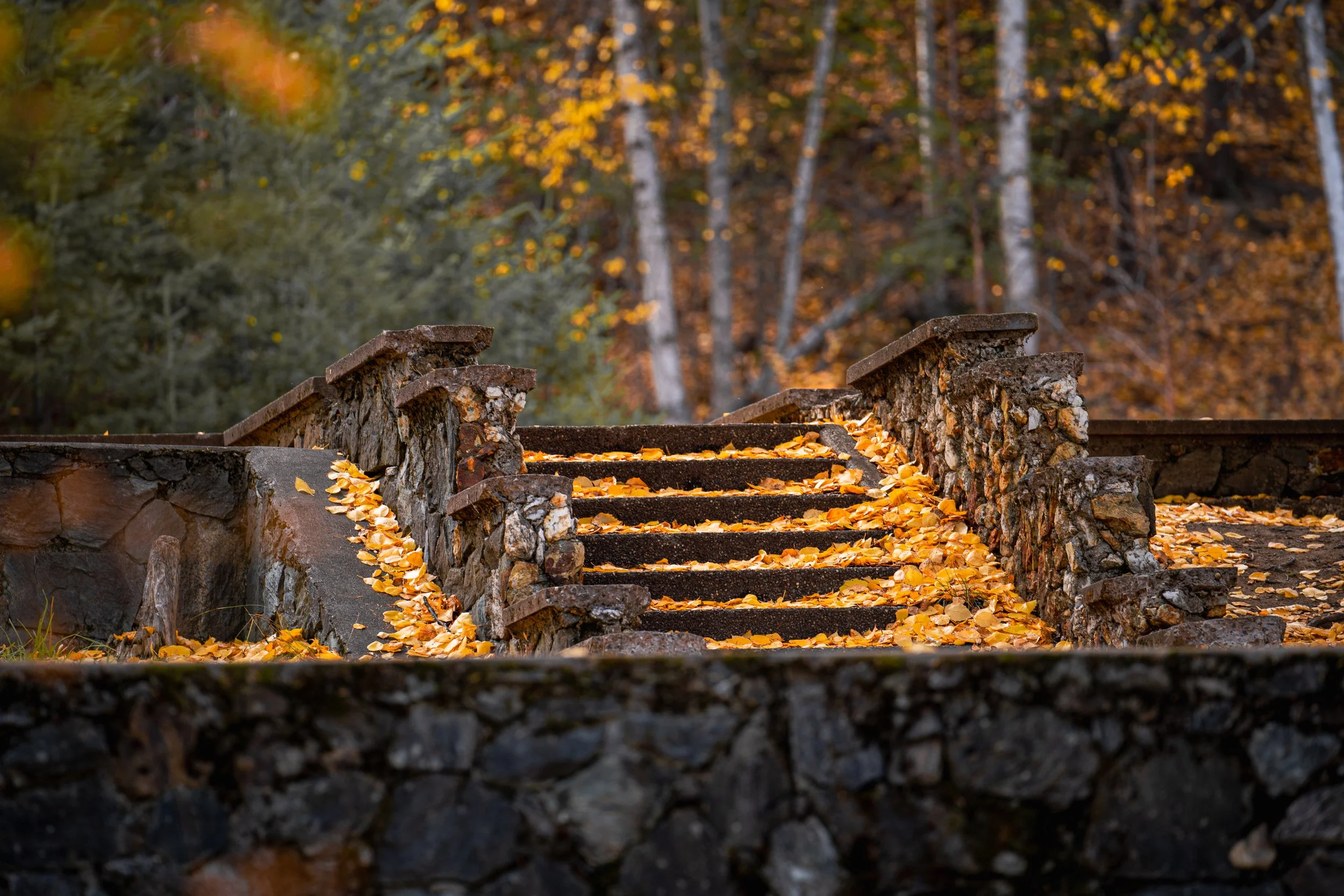 Fall Prince George Photography.jpg