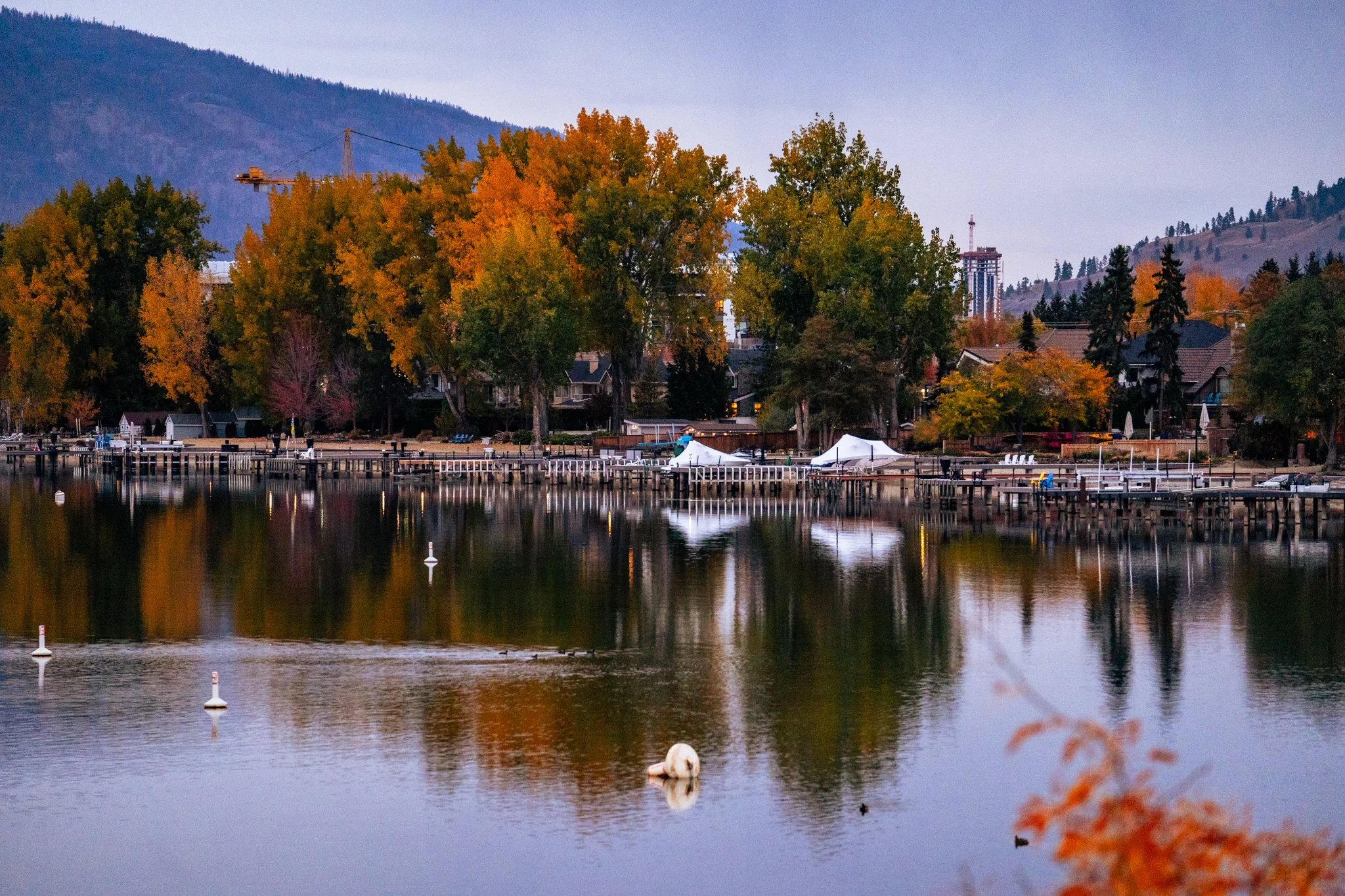 Kelowna Fall Photography.jpg