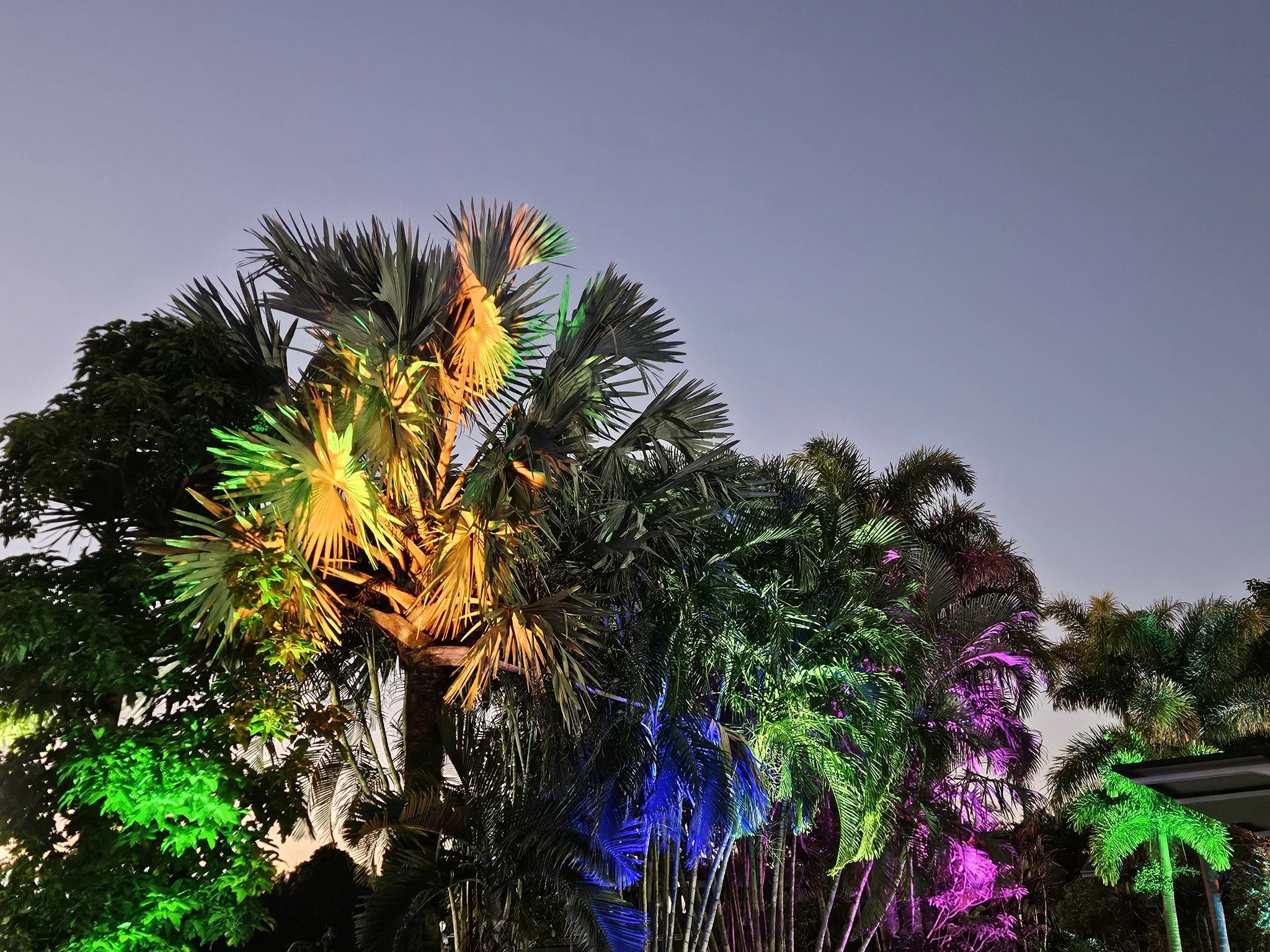 Redlands Creative Arts Night