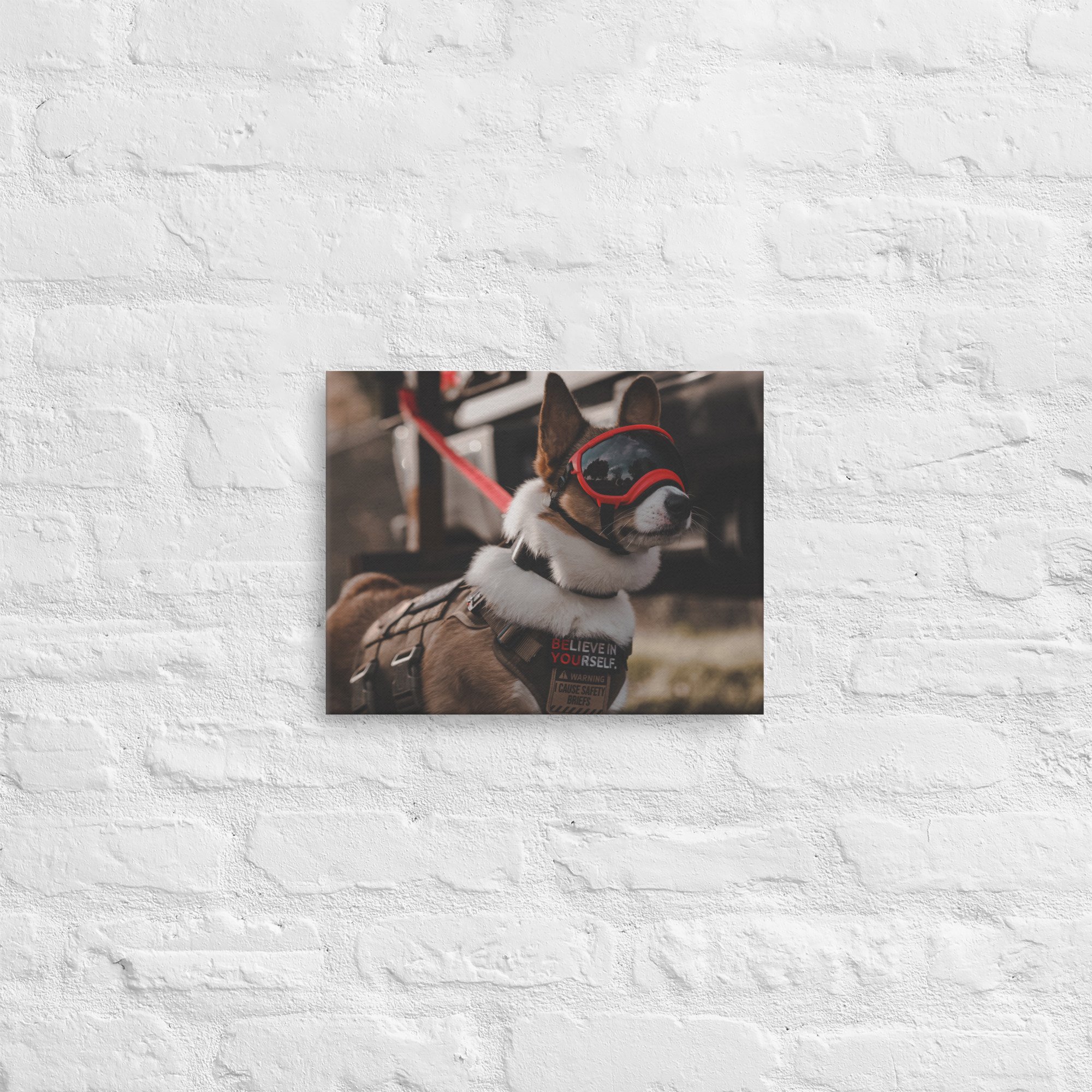 thin-canvas-(in)-11x14-front-661ae22e78ba7.jpg